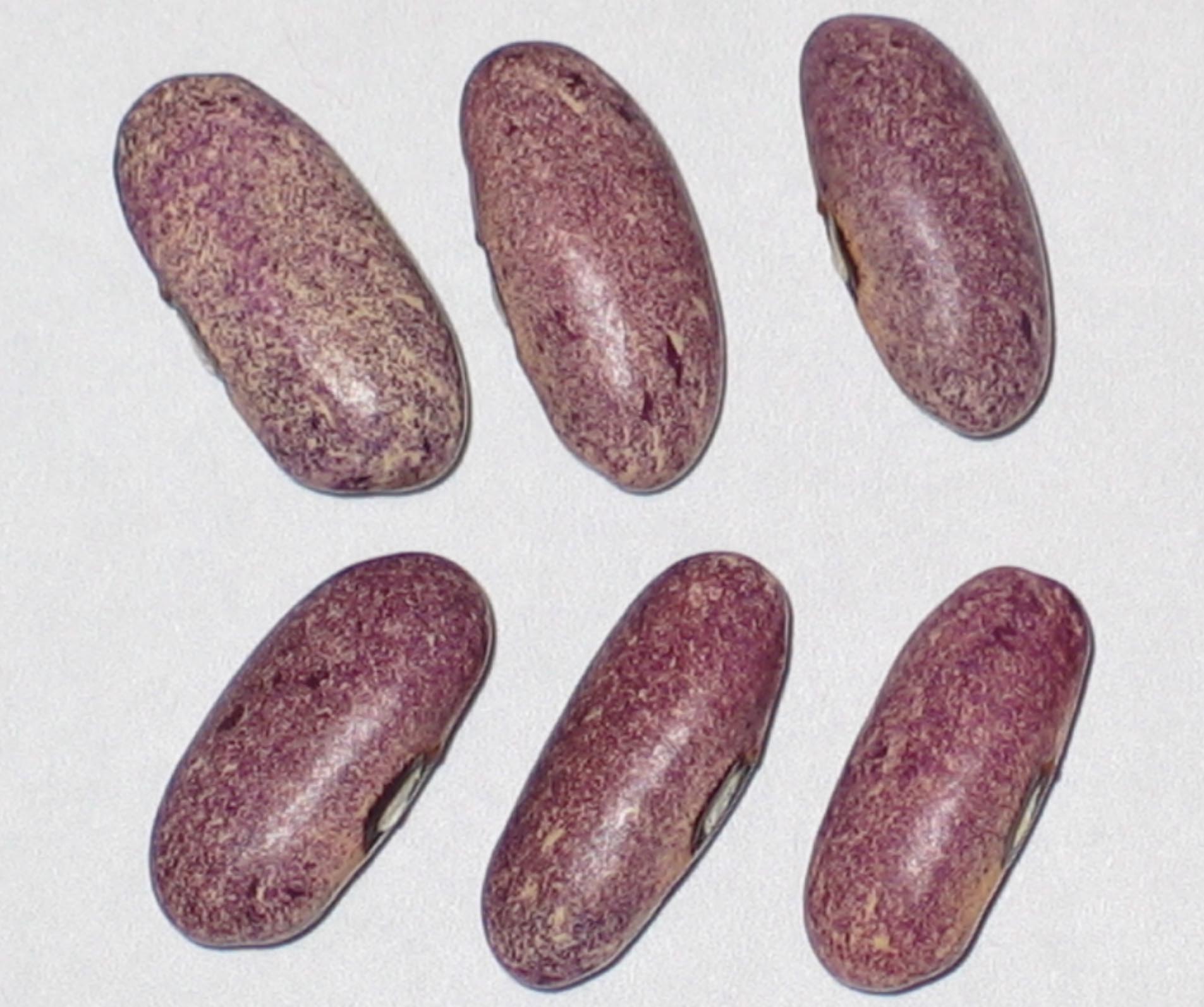 image of Mrociumere beans