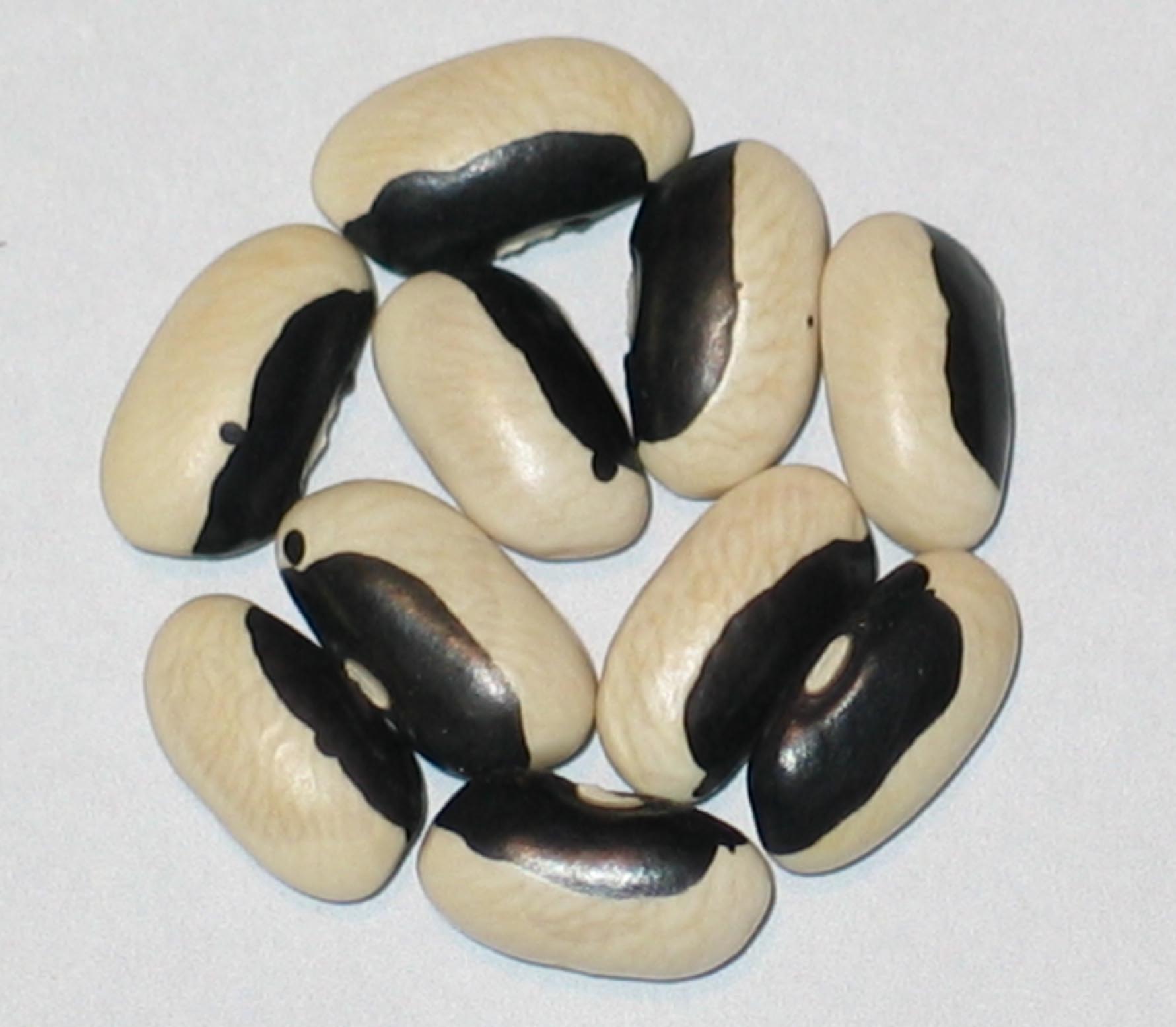image of Stevenson's Black Eye beans