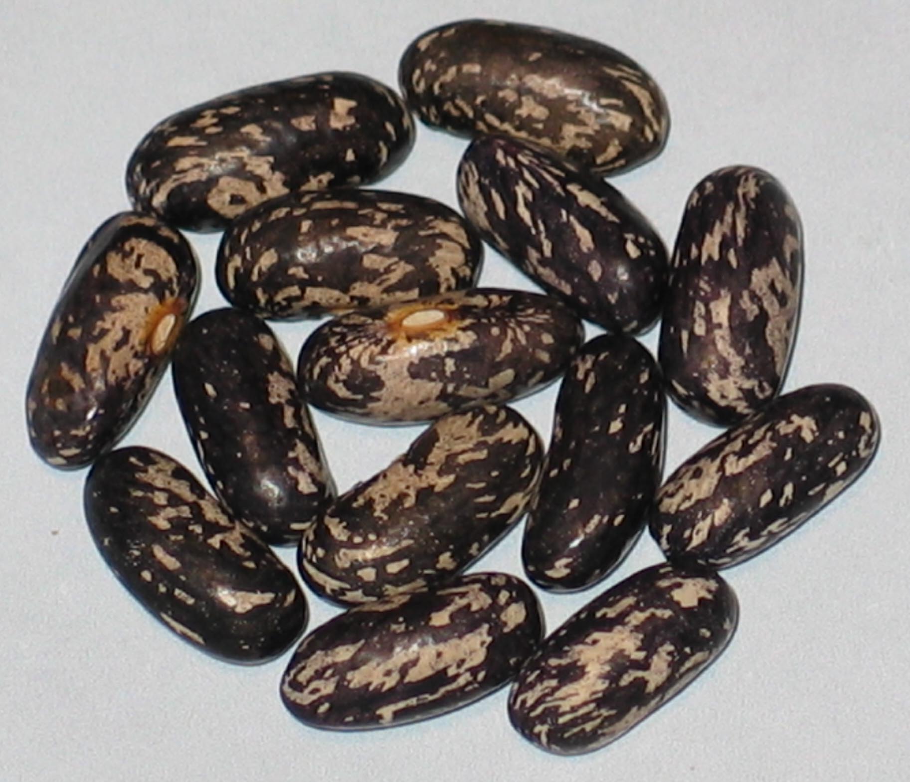 image of Tendergreen beans