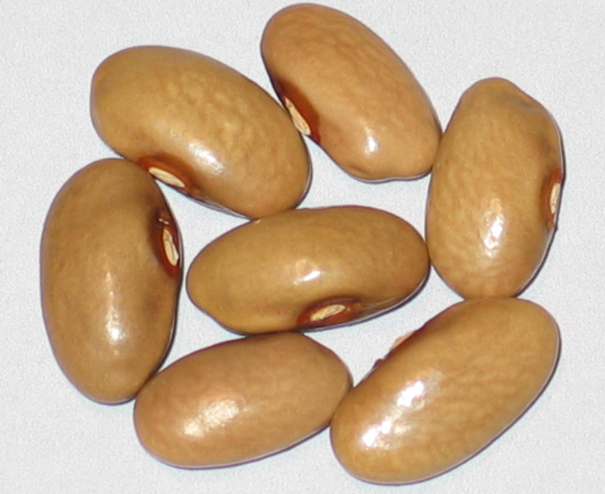 image of Weaver beans