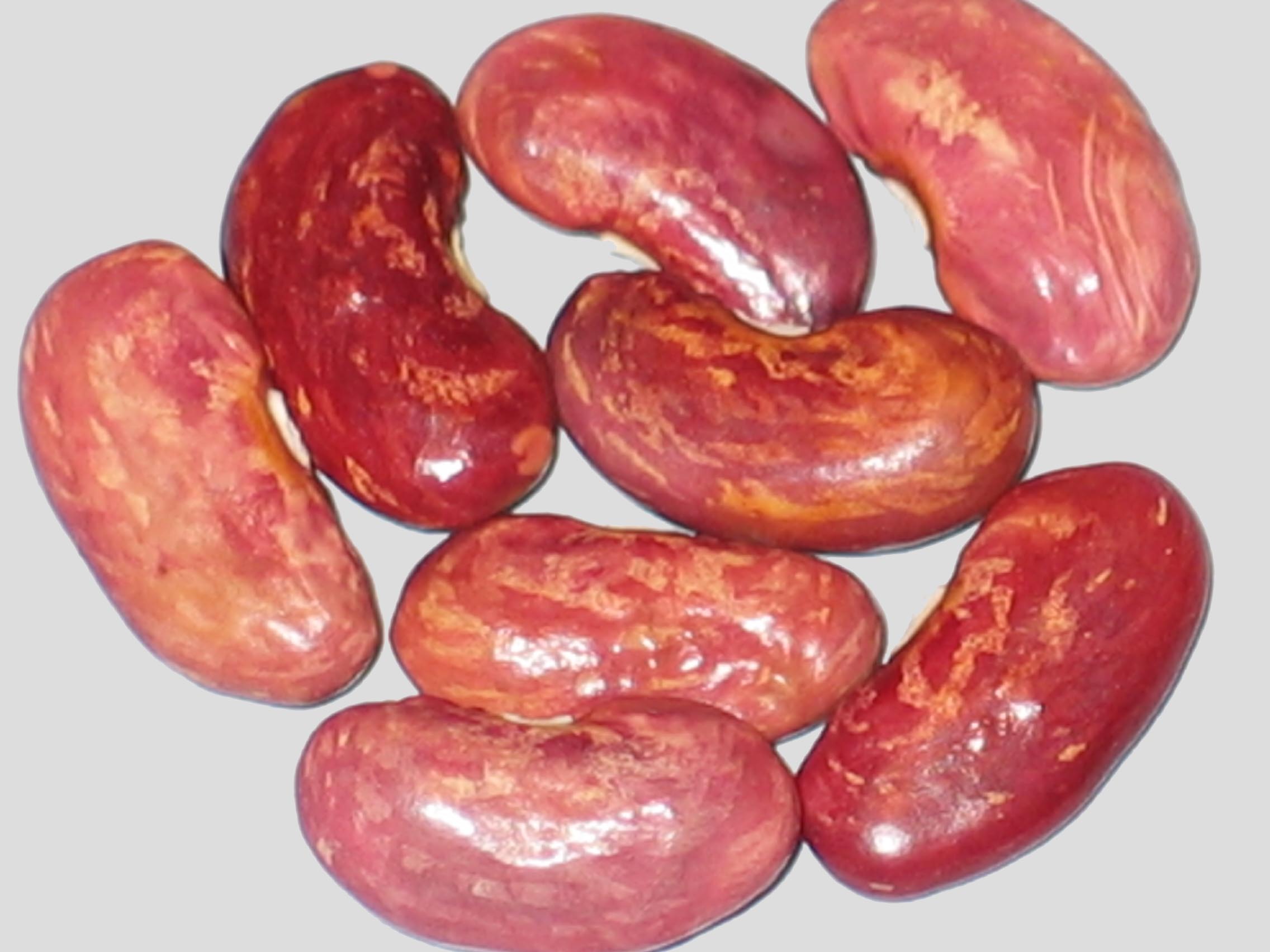 image of Cock 'N Bull beans