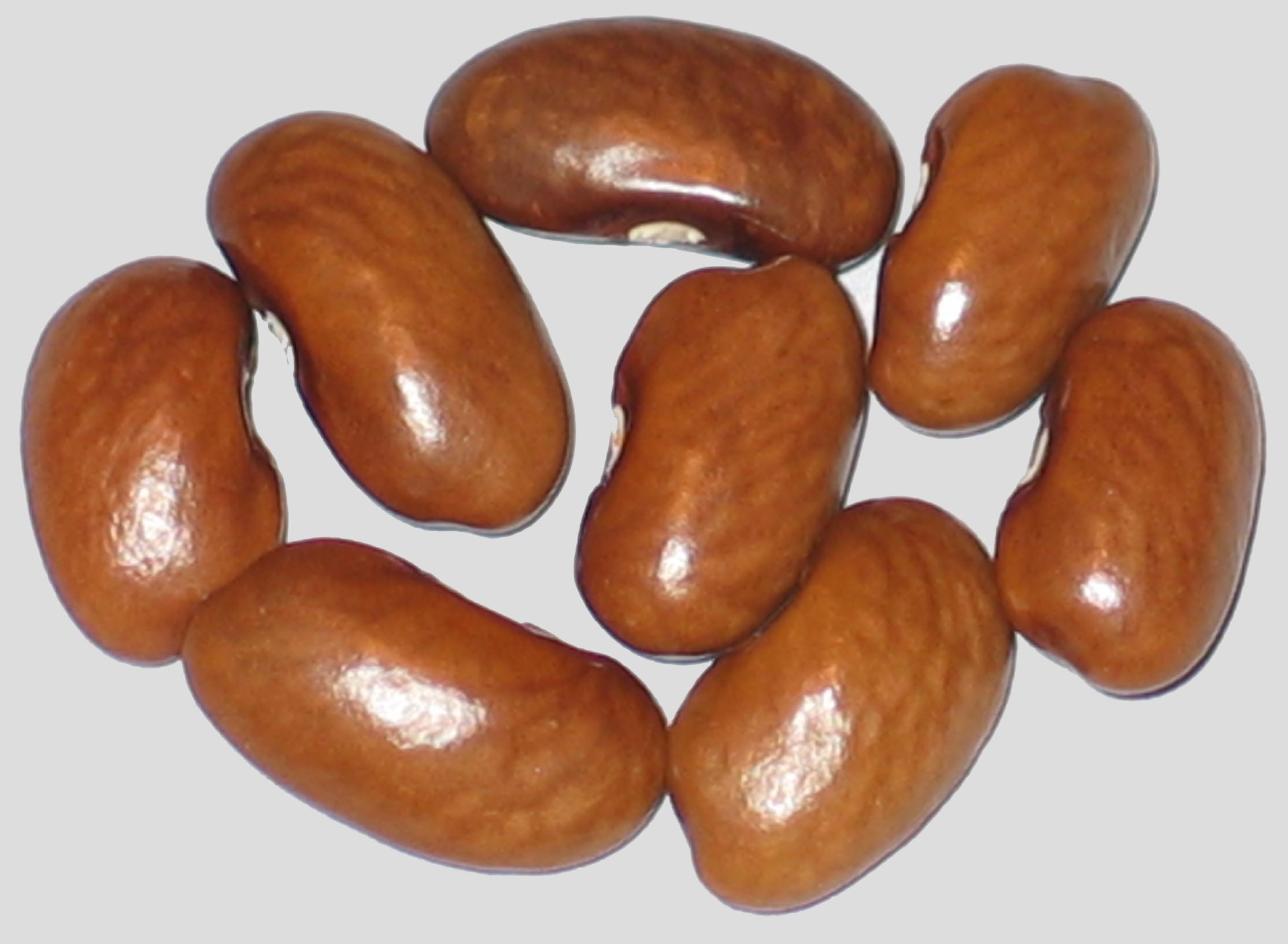 image of No Name WB-PKT #35 beans