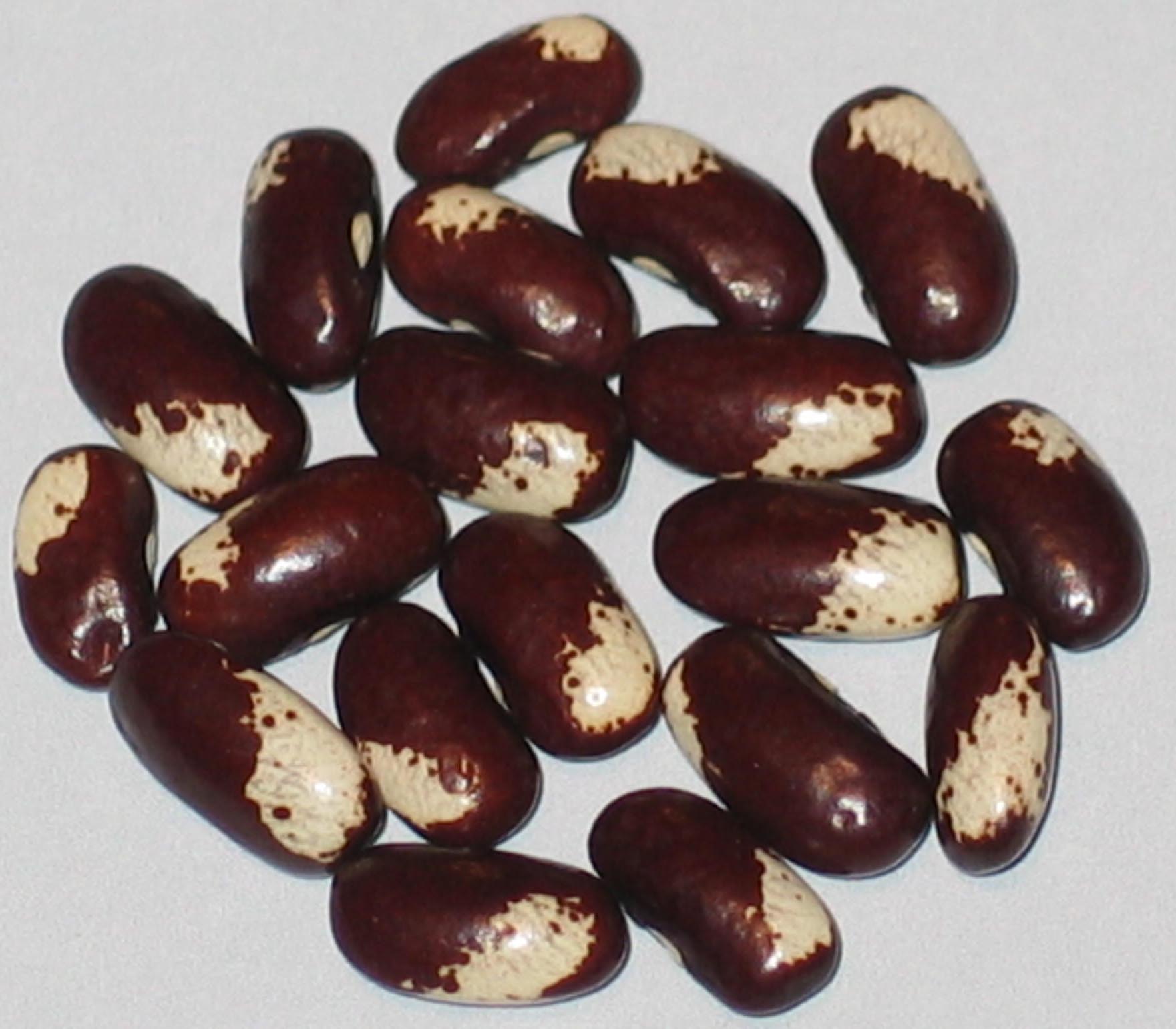 image of Penny Prince beans