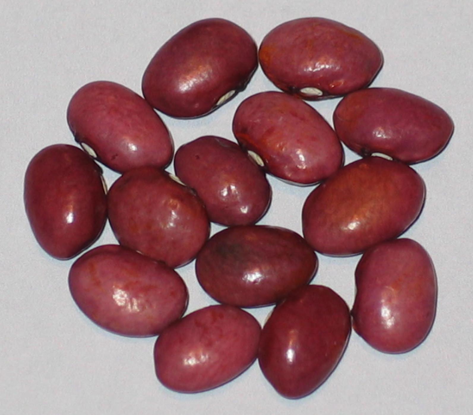image of Riley's Red beans