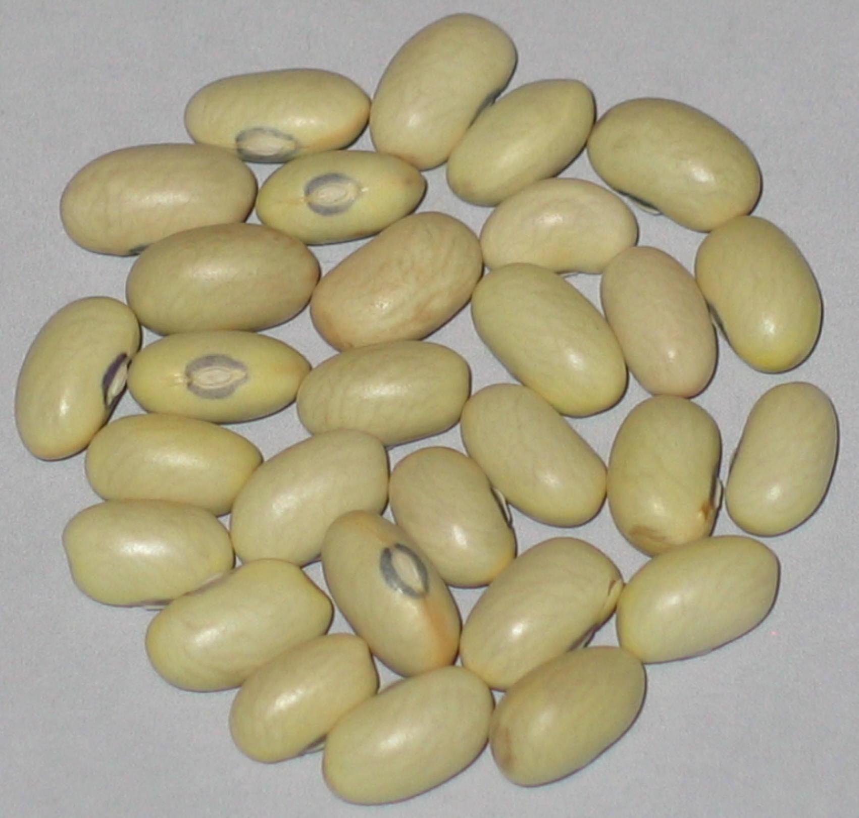 image of Twin Falls Sulphur beans