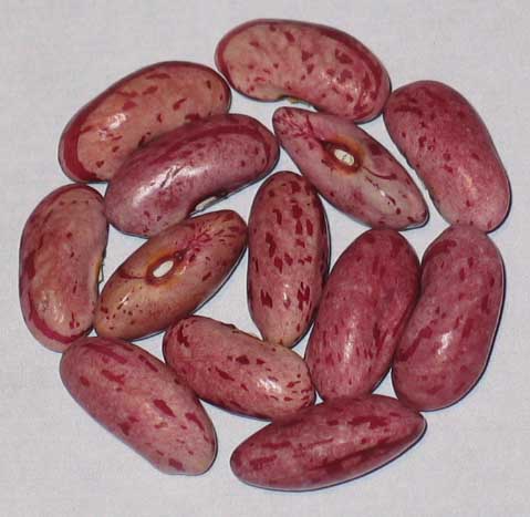 image of Candy beans