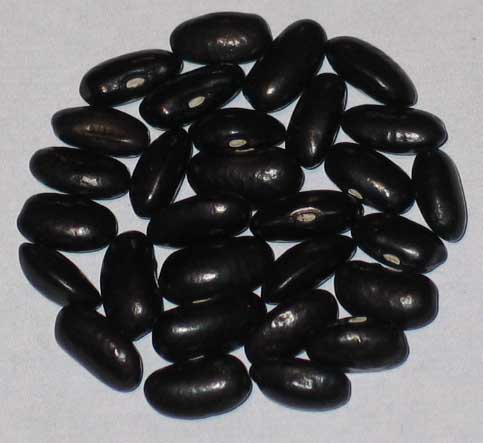 image of Cherokee Trail Of Tears beans