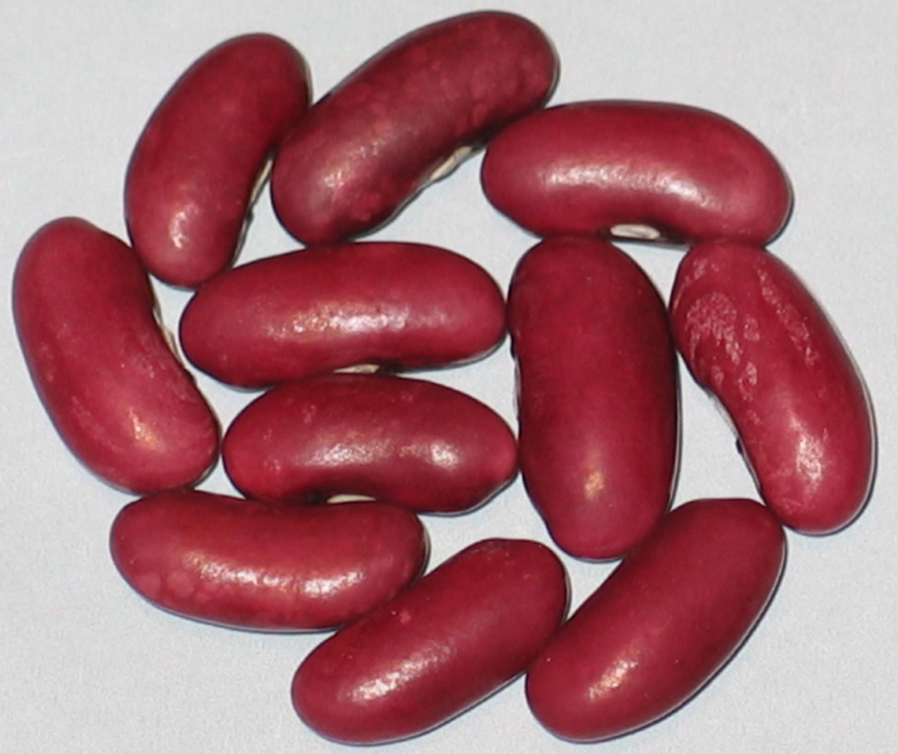 image of Clarendon Wonder beans