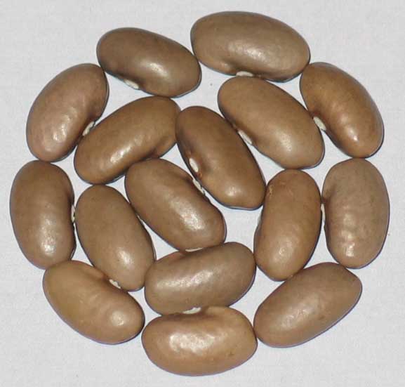 image of Gold Of Bacau beans