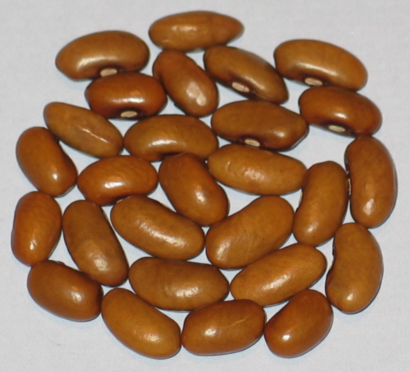 image of Greek Cypriot beans