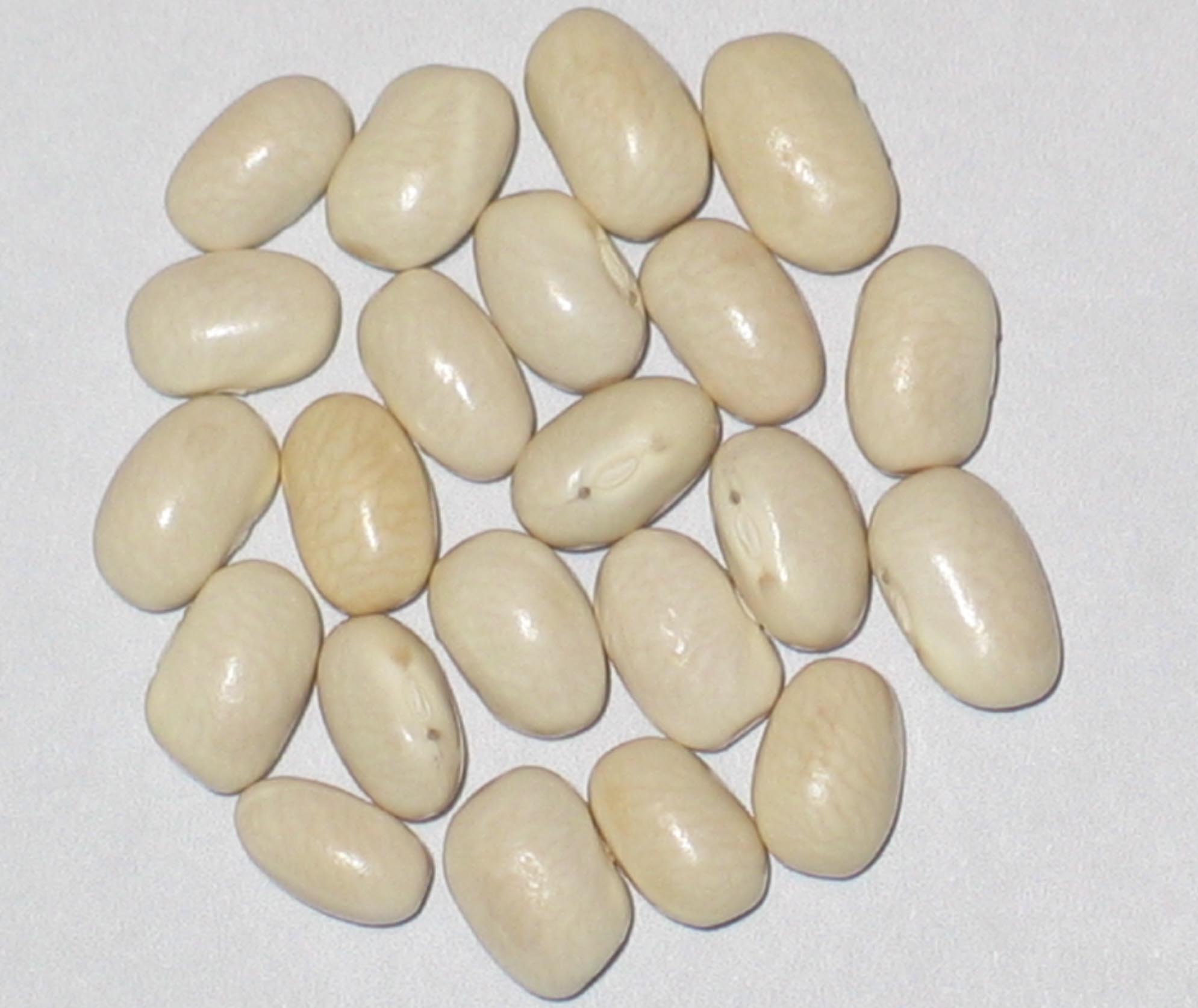 image of Ice beans