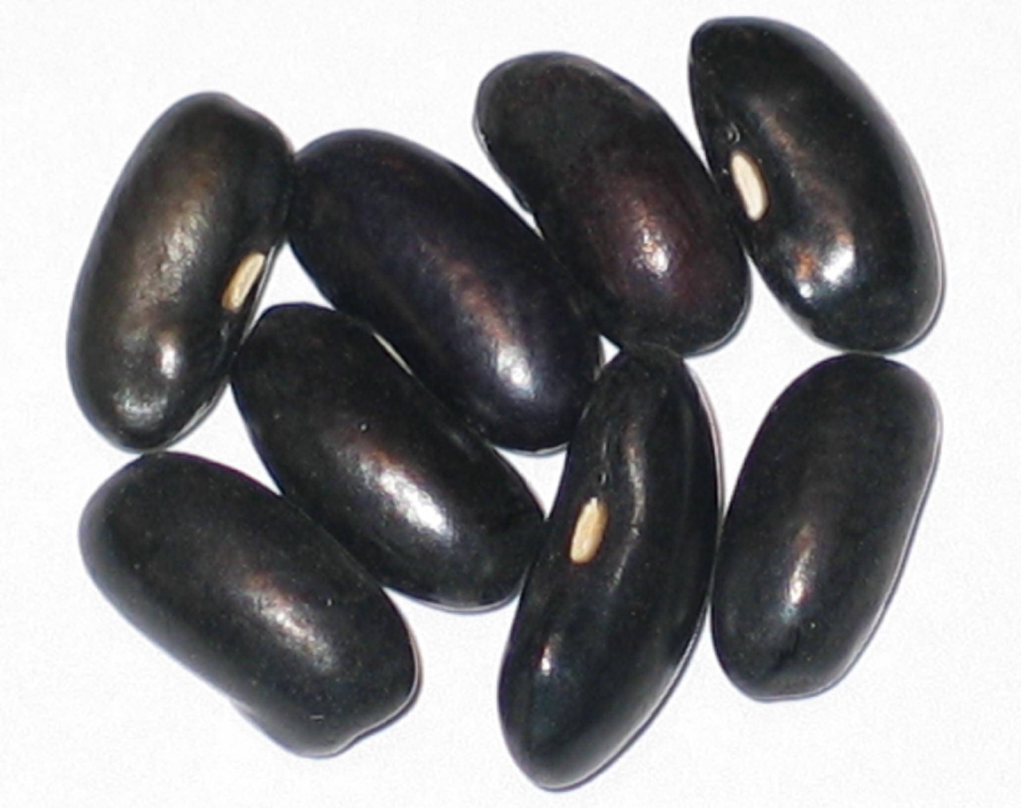 image of Illinois Wax beans