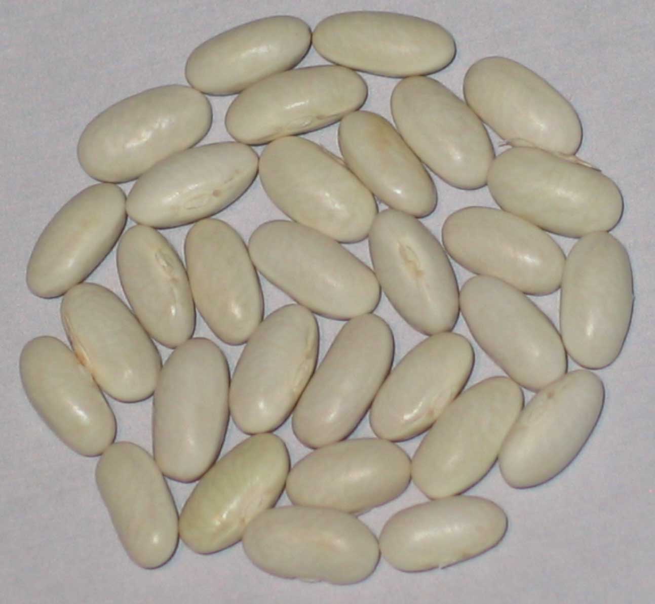 image of Italian beans