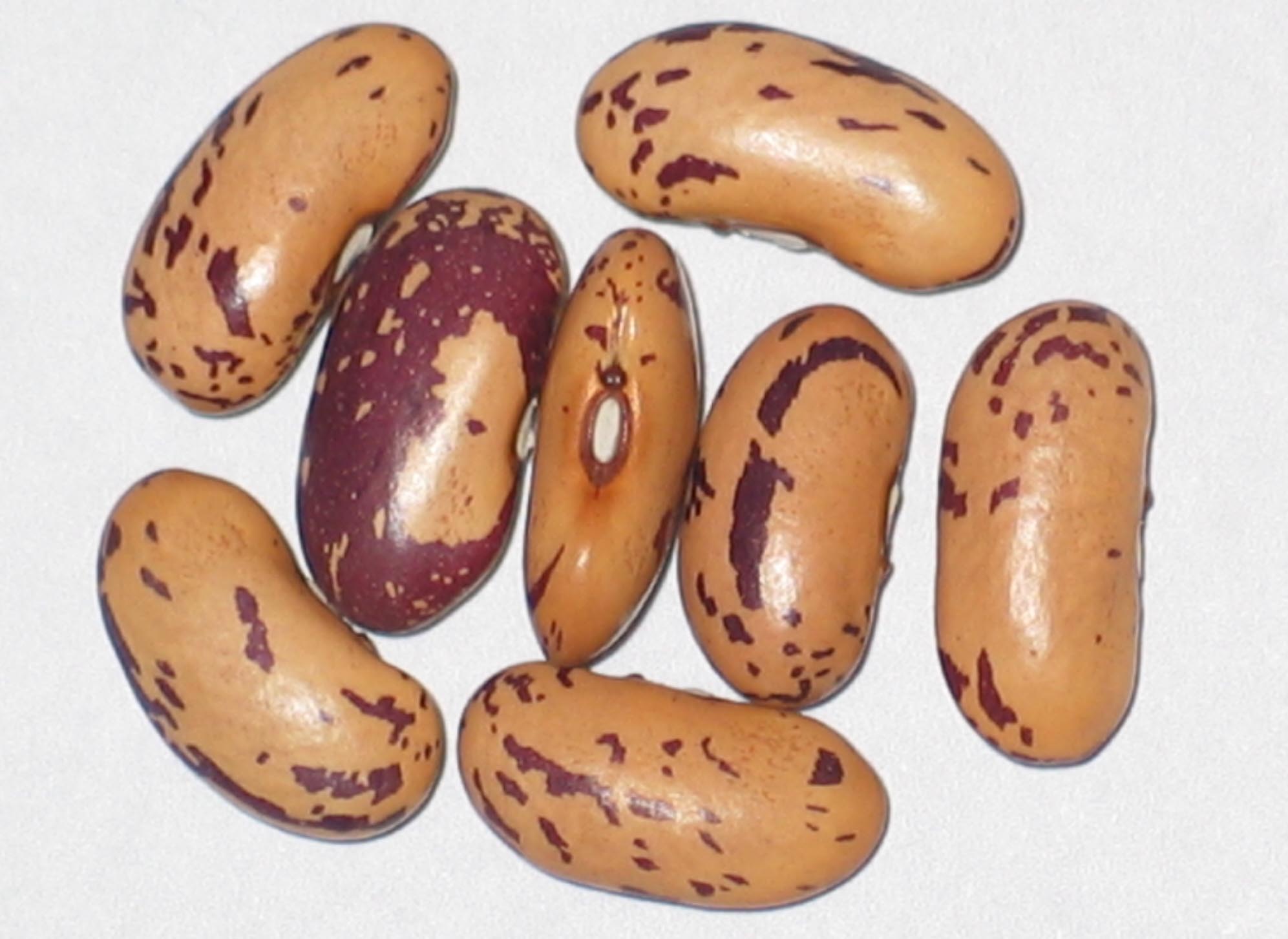 image of John's Bean beans