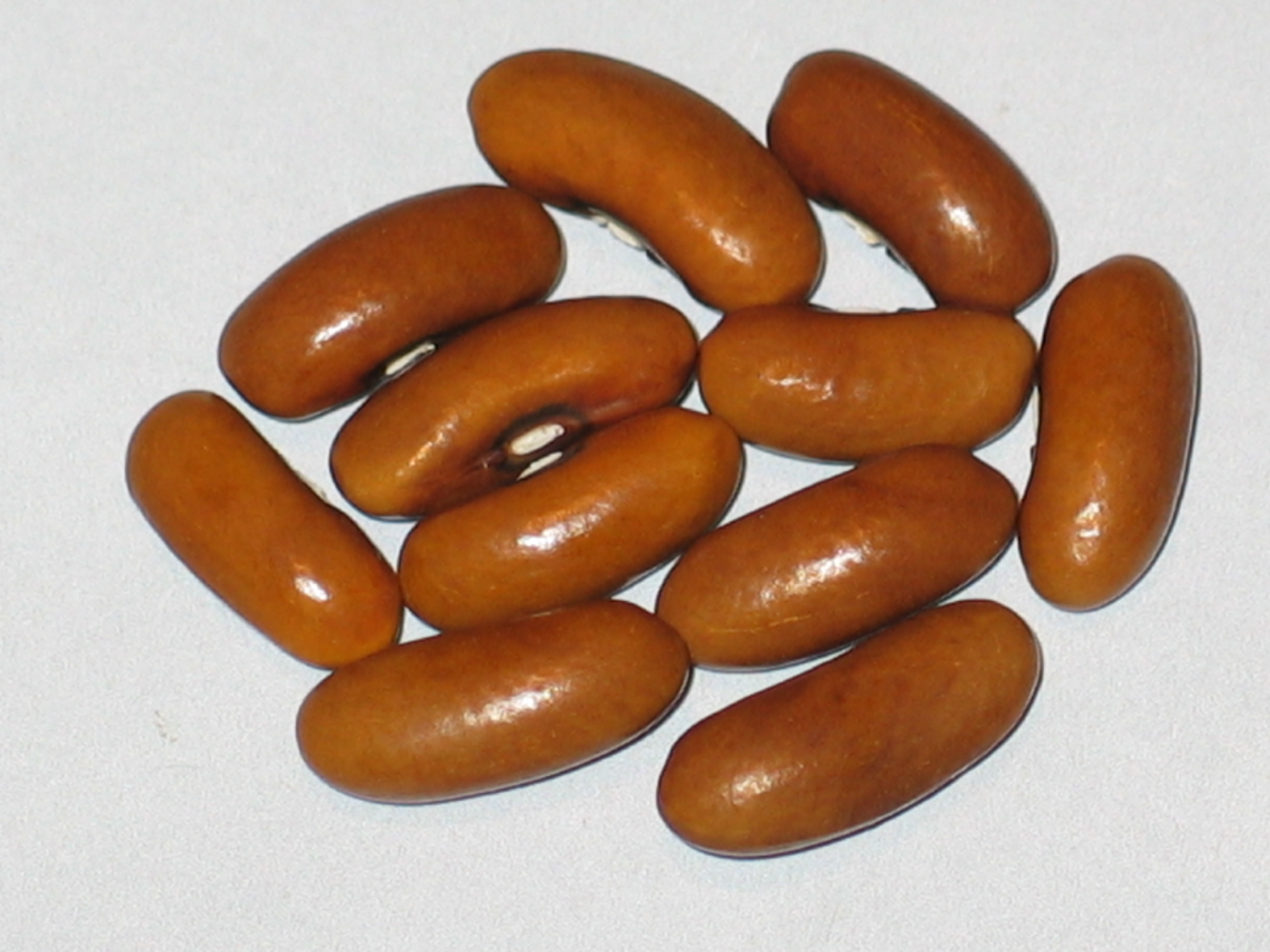 image of Kay Snap beans