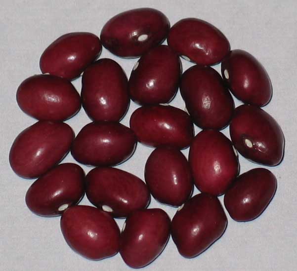 image of Kirschbohne beans