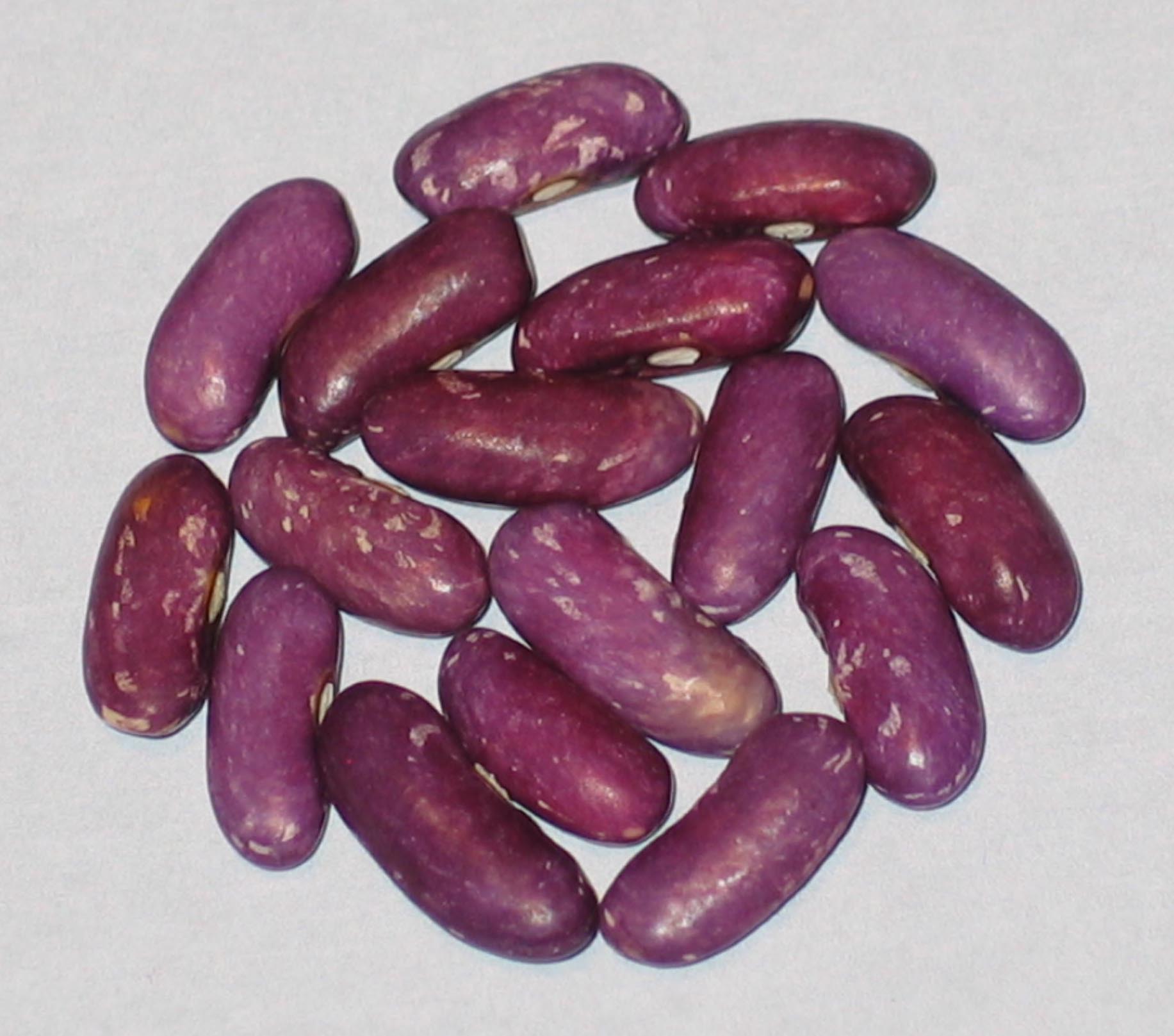 image of Koronis Purple beans