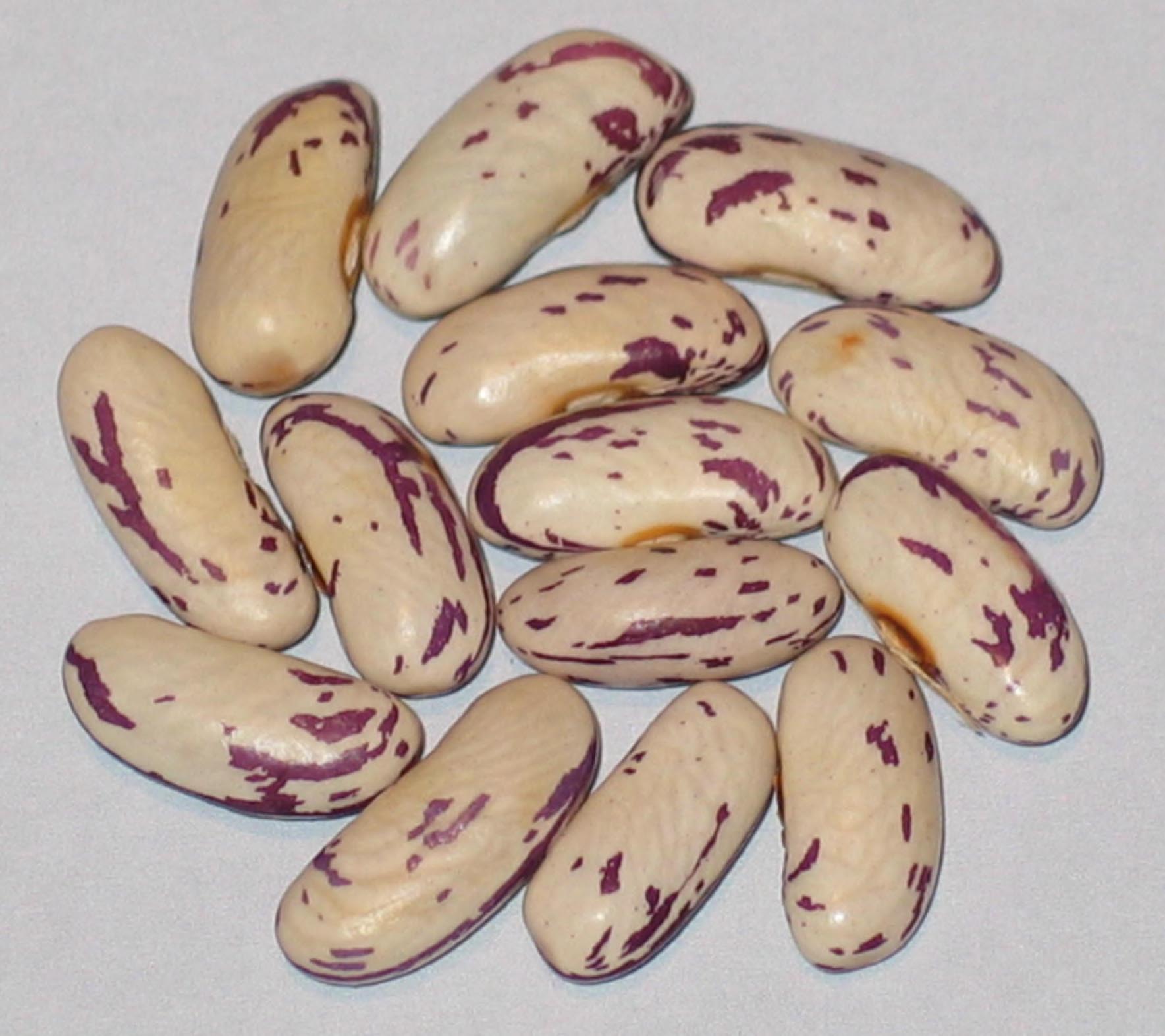 image of Lake Avenue Beauty beans