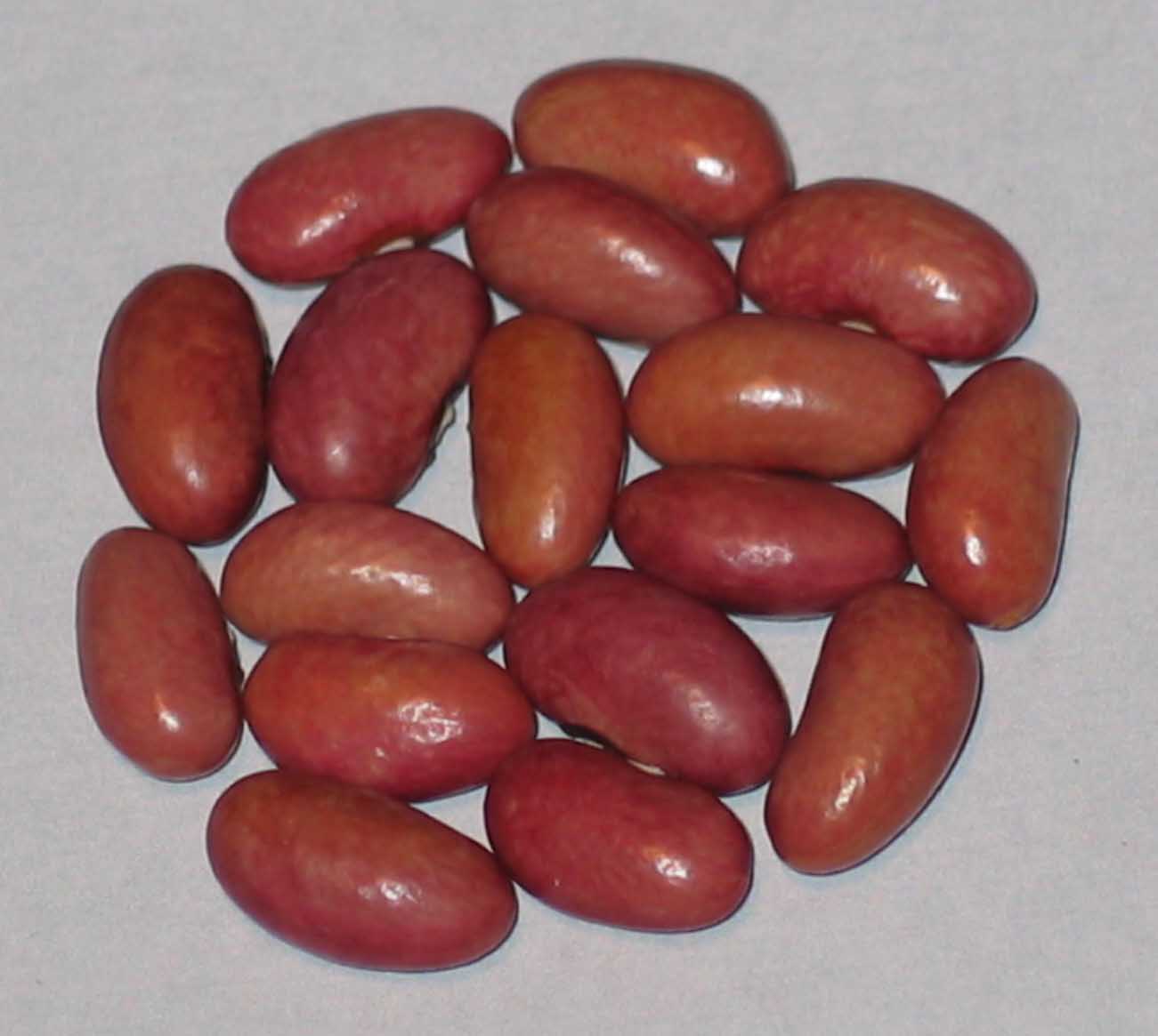 image of Lazy Housewife Red beans