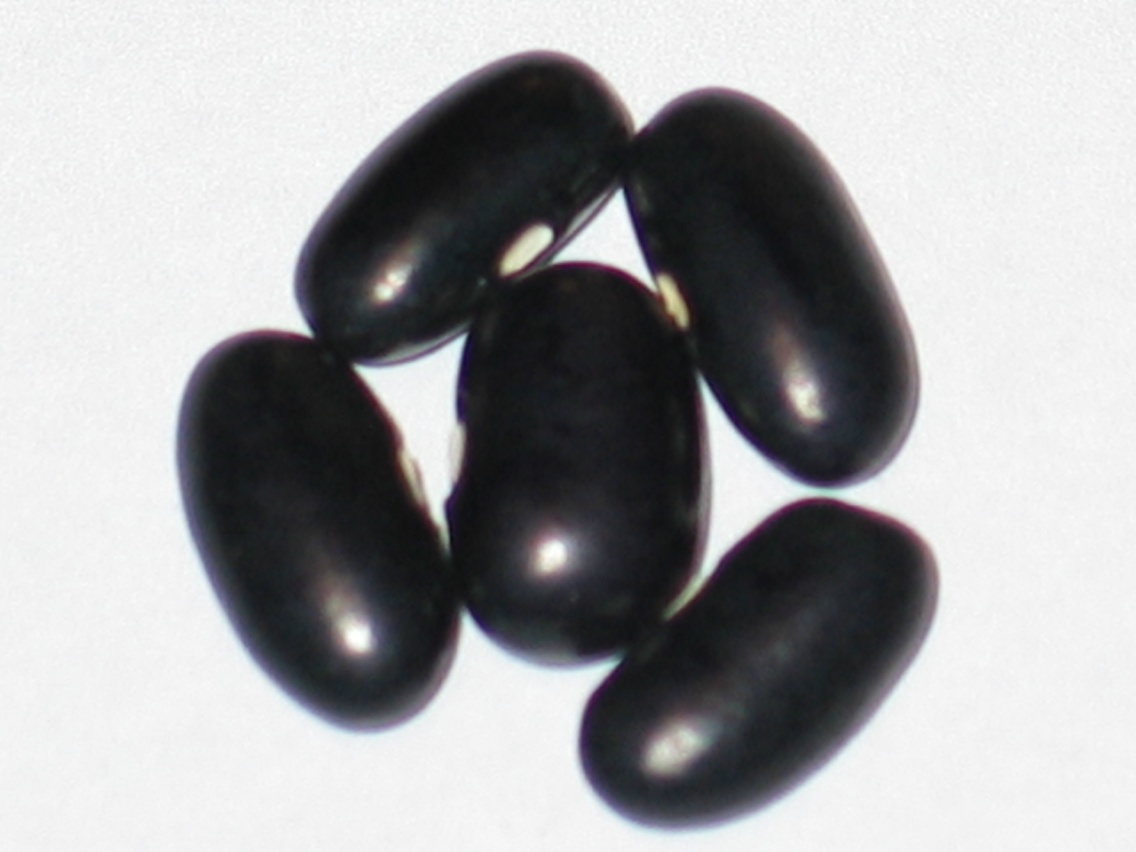 image of Plentiful beans