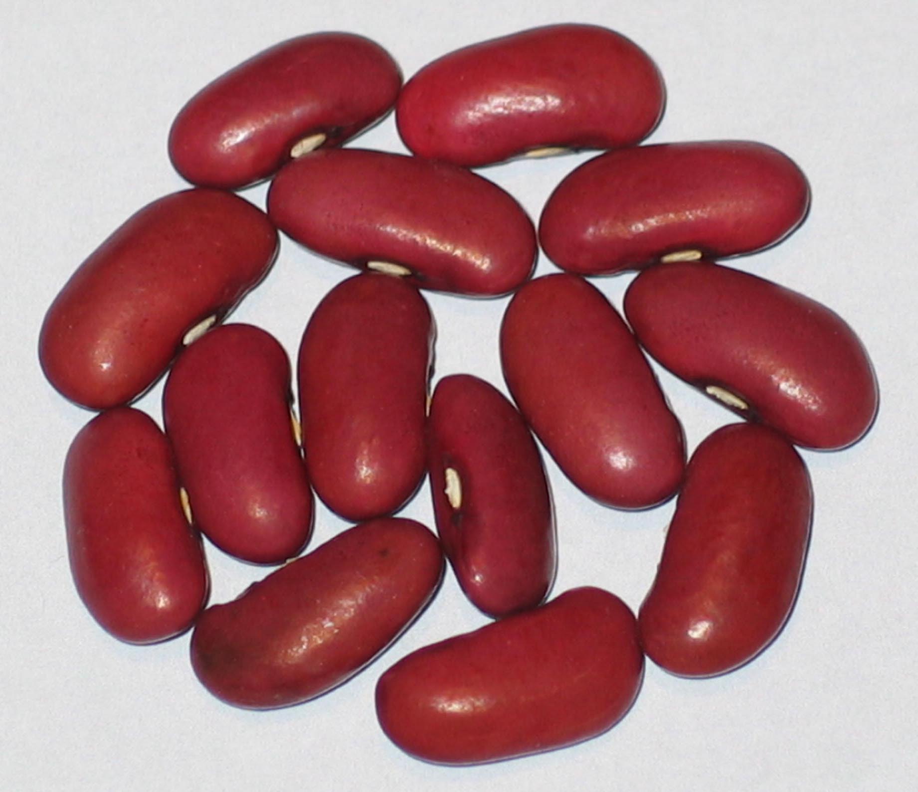 image of Red Eagle beans