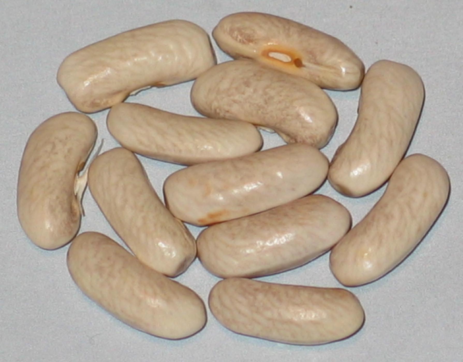 image of Robert's Green beans