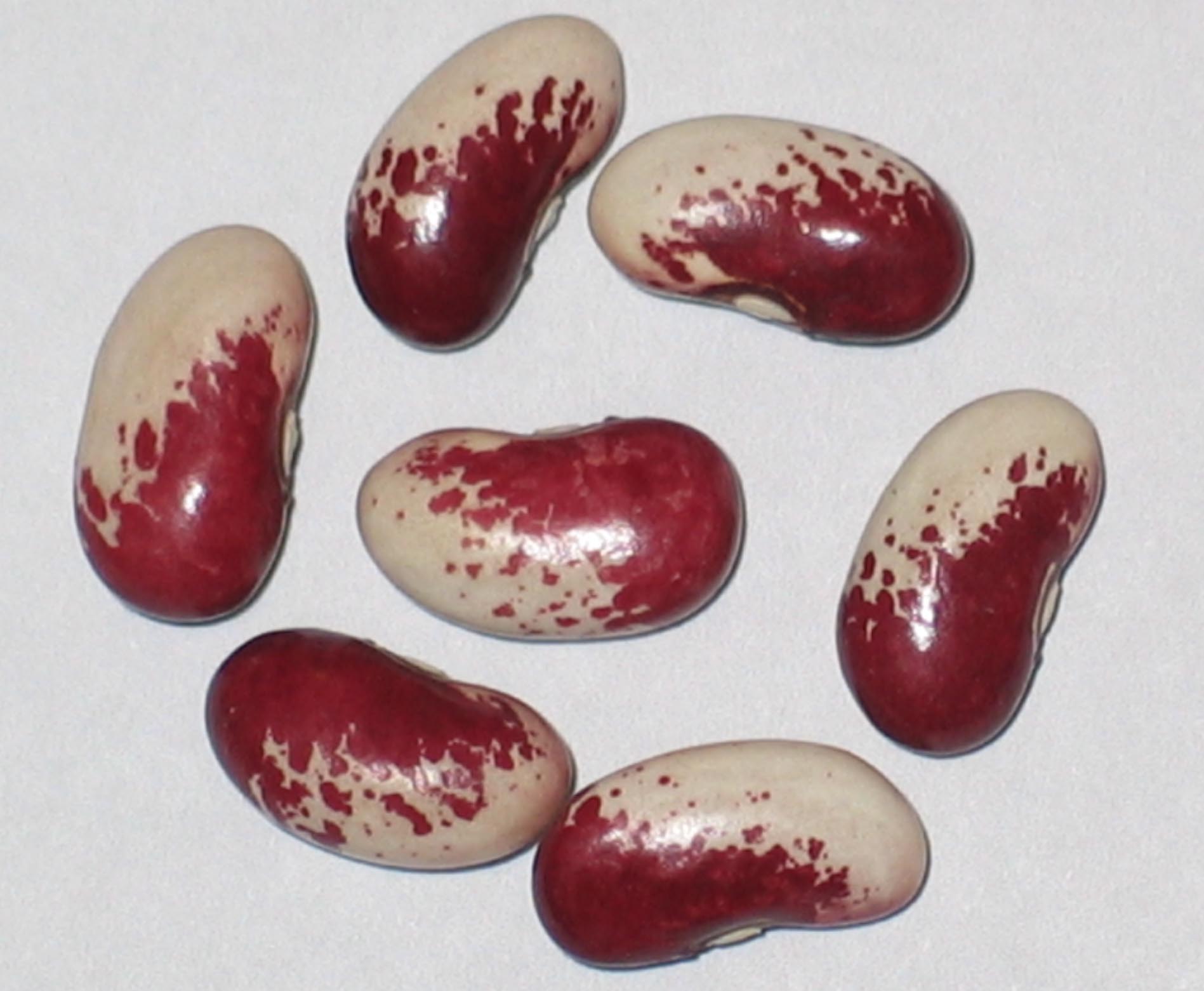 image of Rose Creek Beauty beans