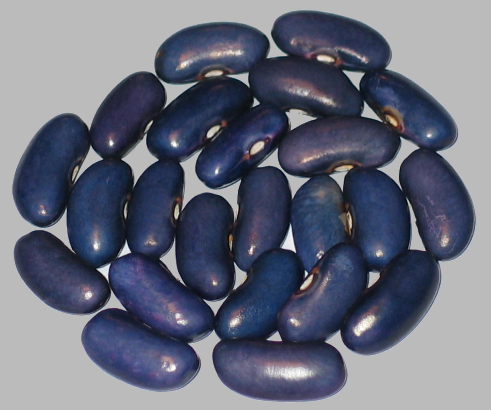 image of Sacre Bleu beans