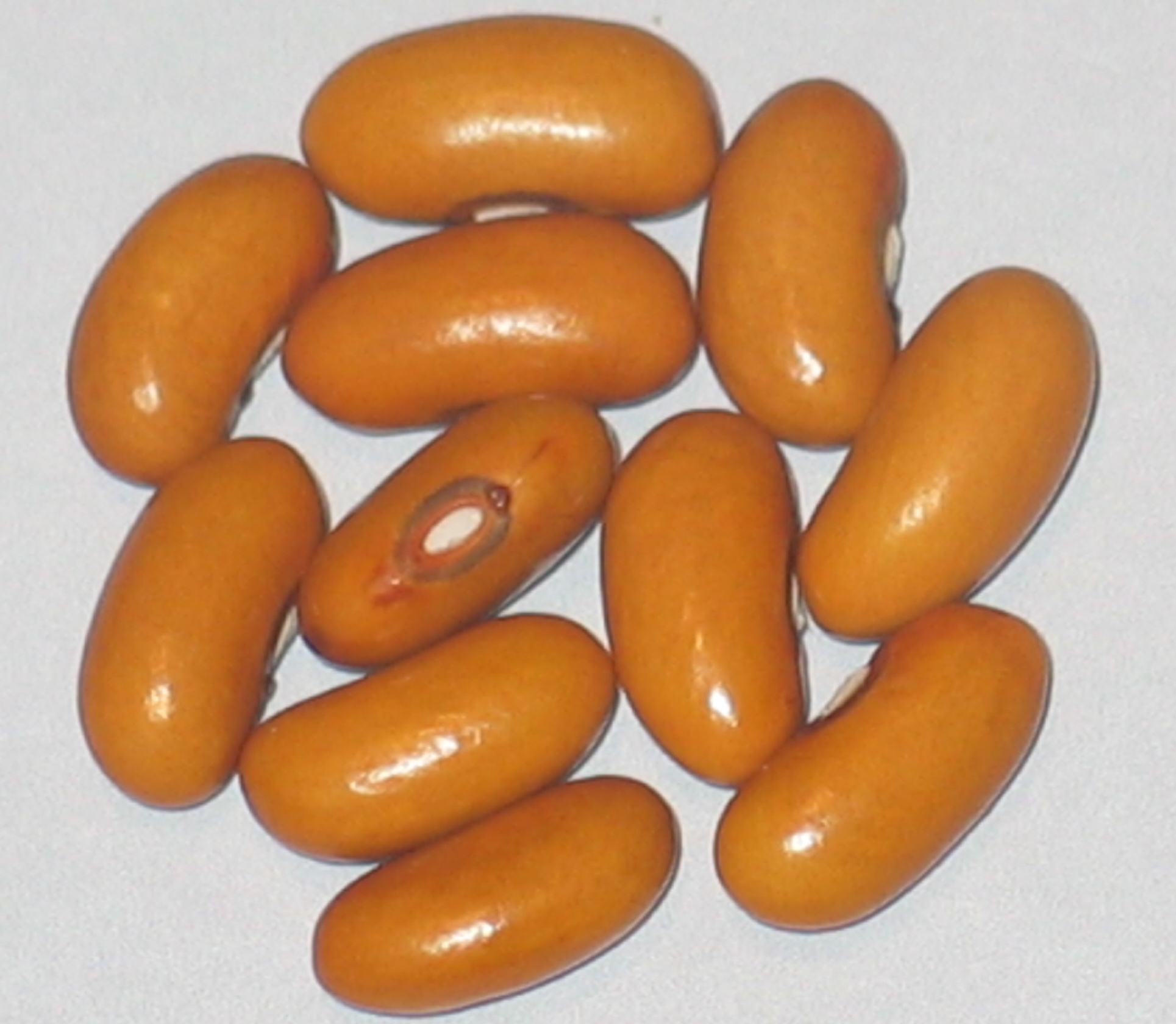 image of Unrivalled Wax beans