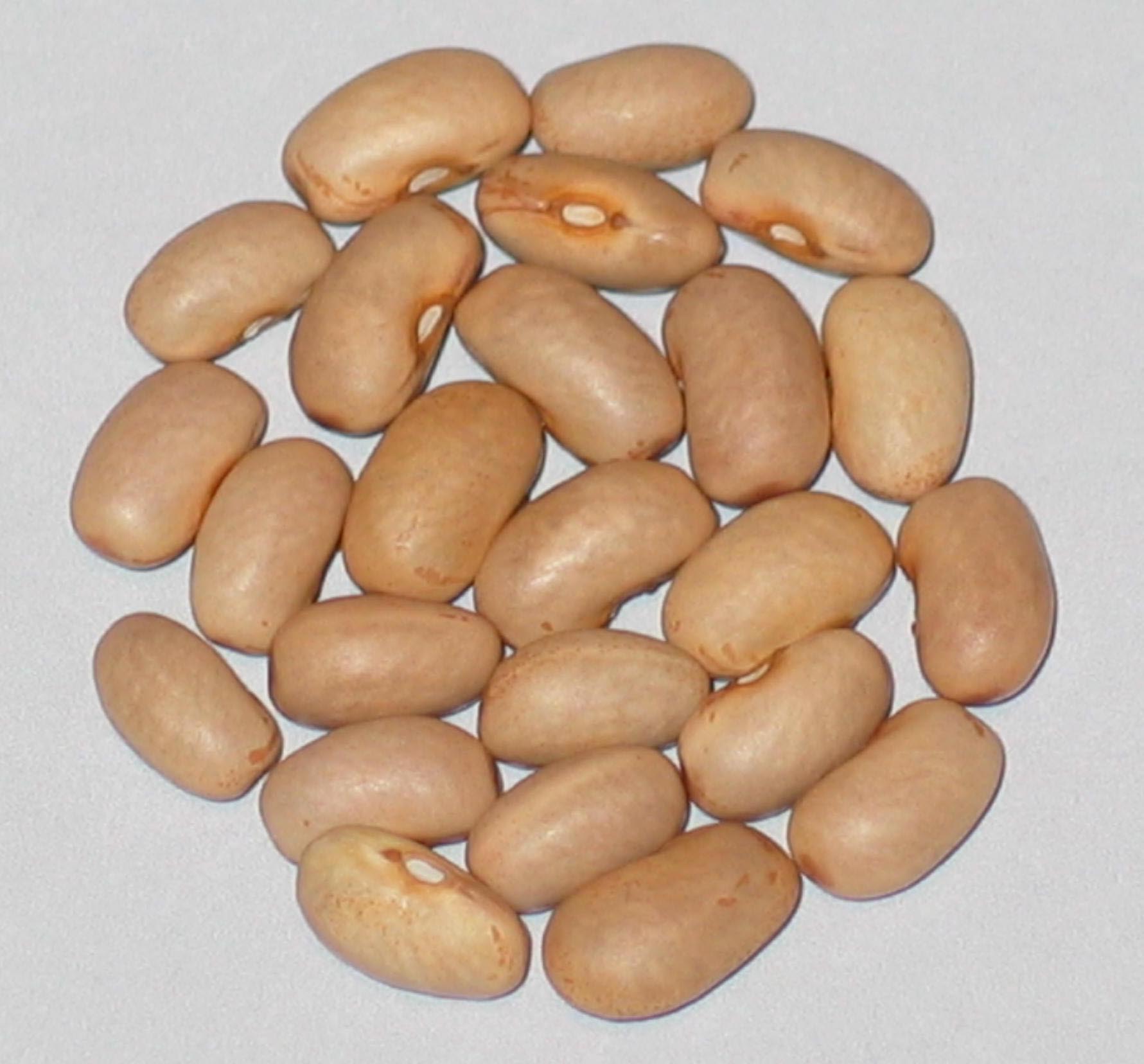 image of Adam's Family Six Weeks beans