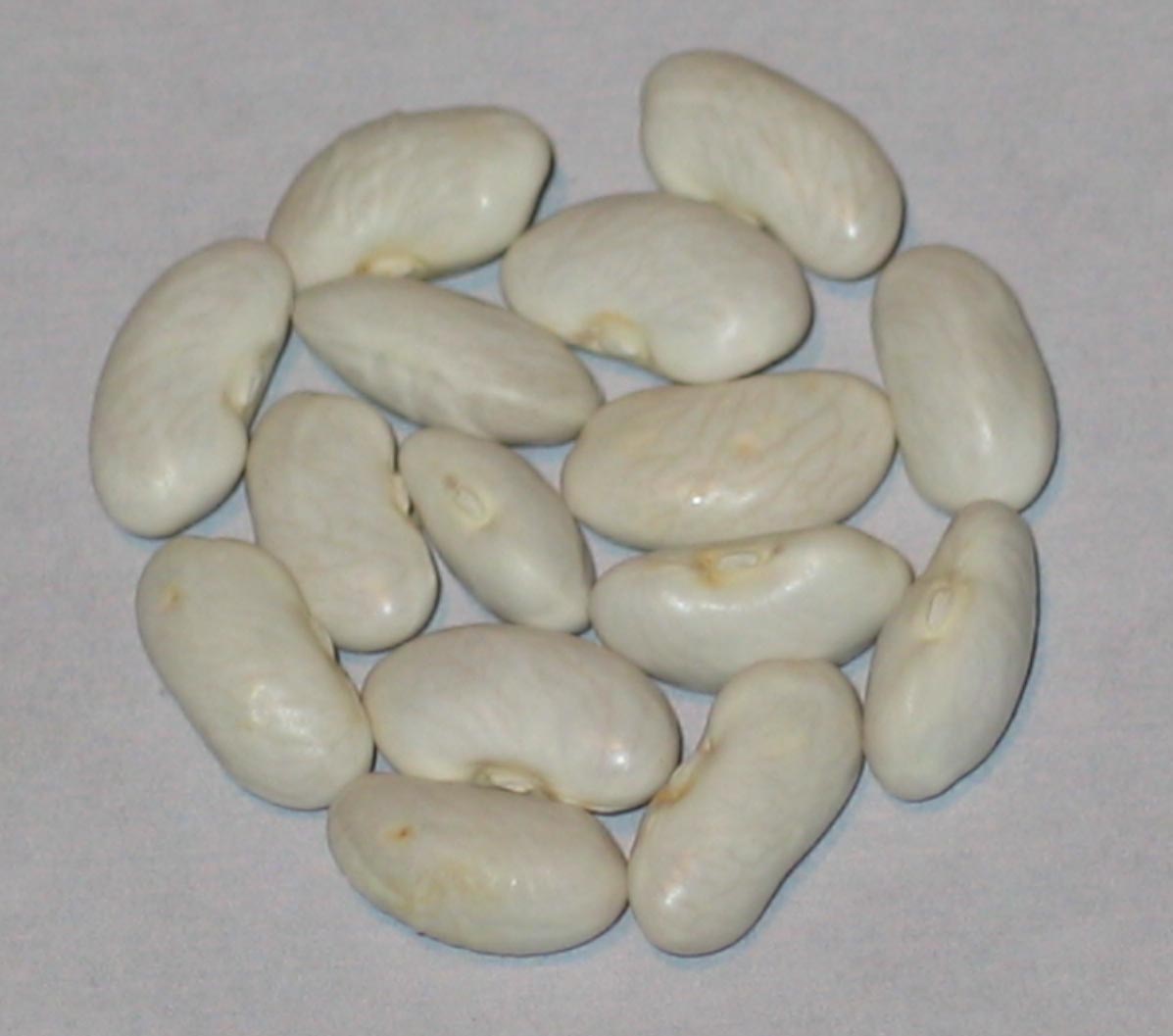 image of Algarve  beans