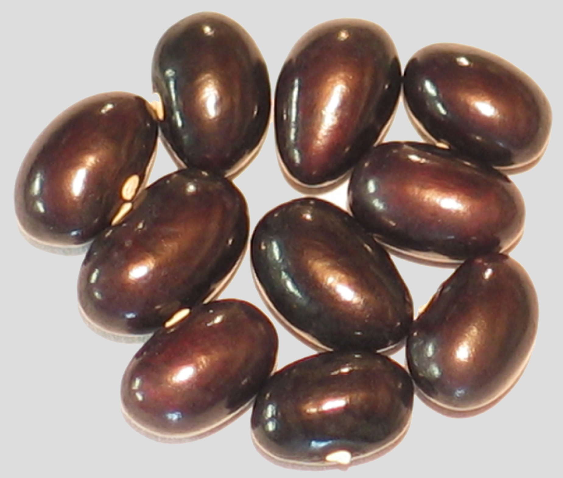 image of Albuias Di Tolusa  beans