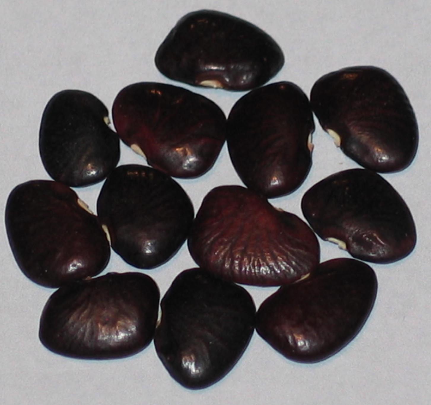 image of Almas PA beans