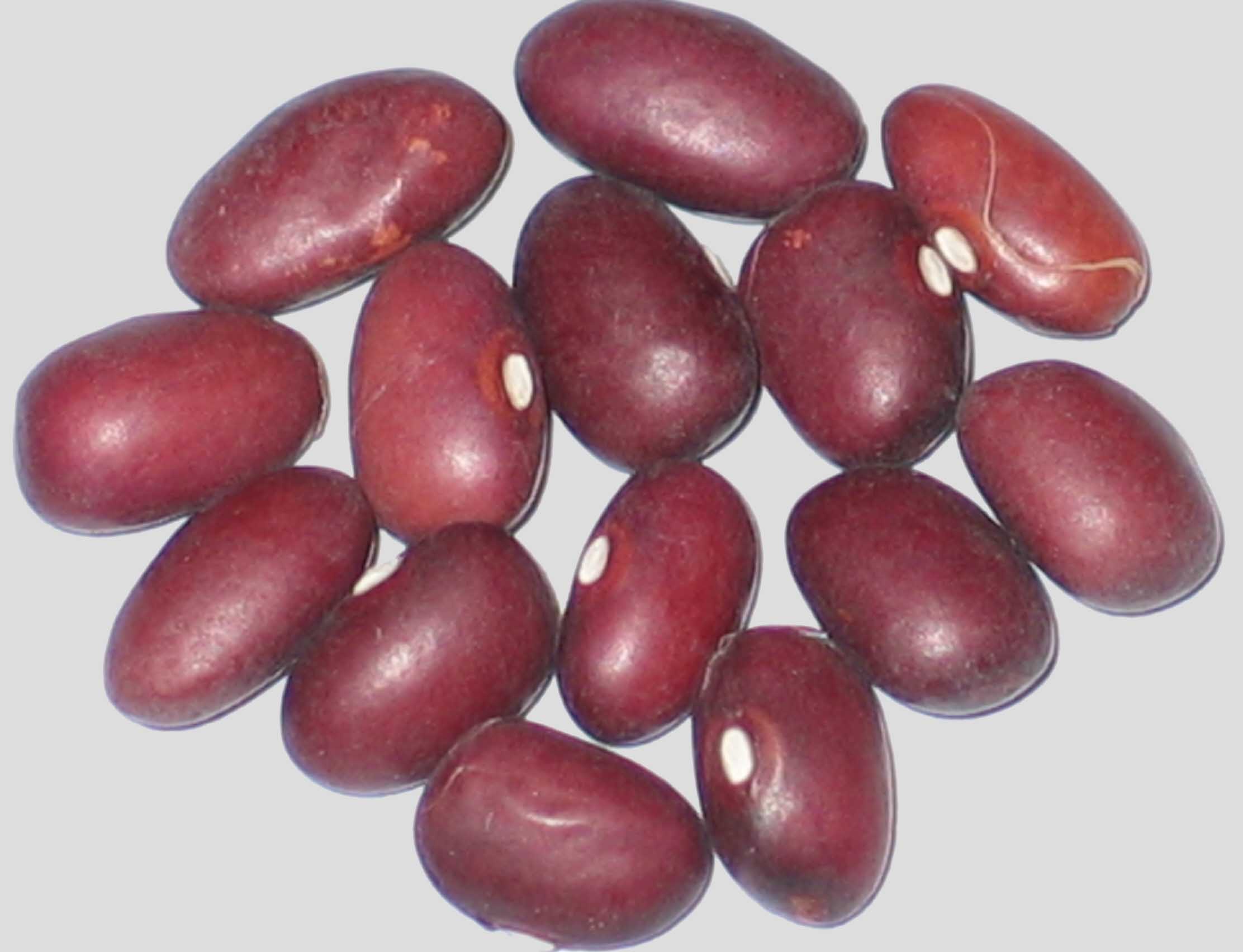 image of Amethyst beans