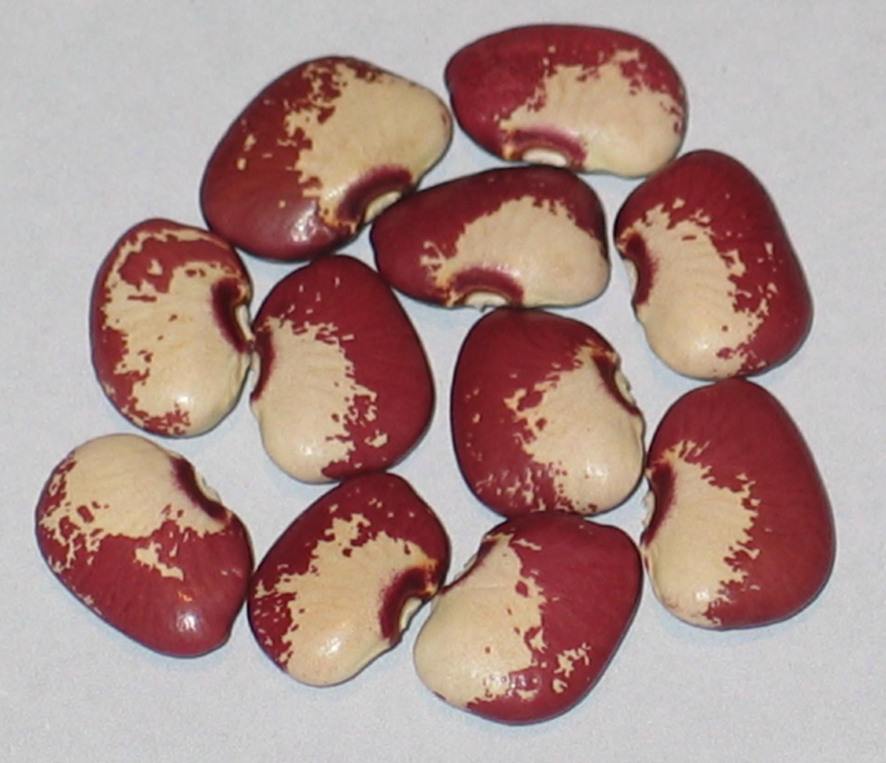 image of Aubrey Deane beans