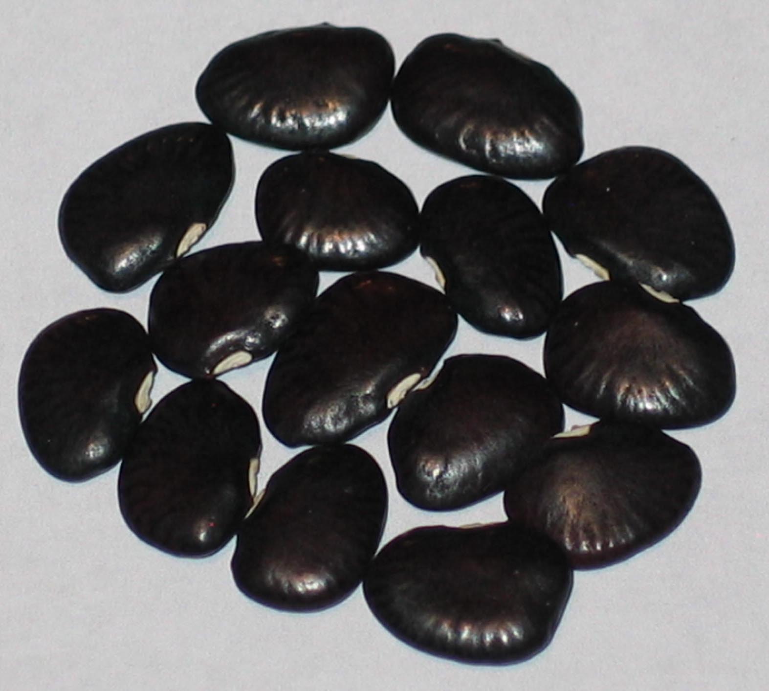 image of Bandy Black beans