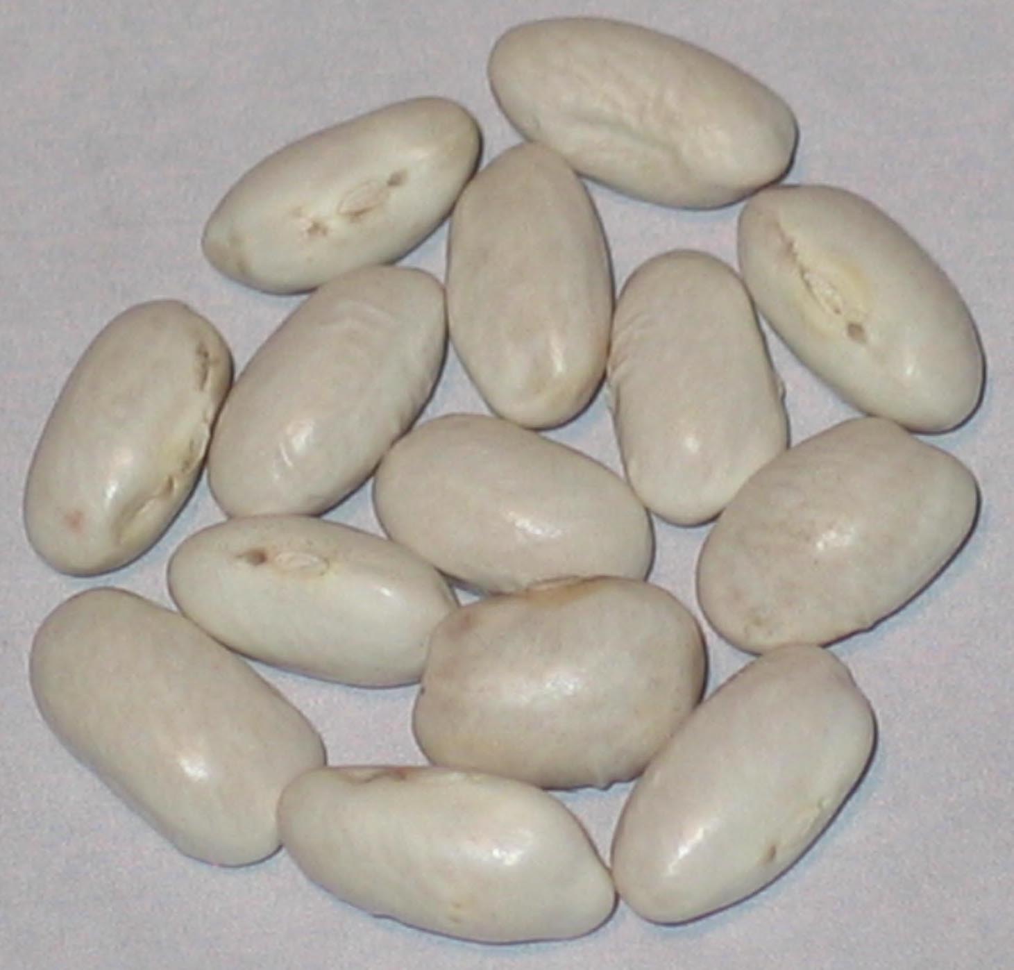 image of Barnes Mountain beans