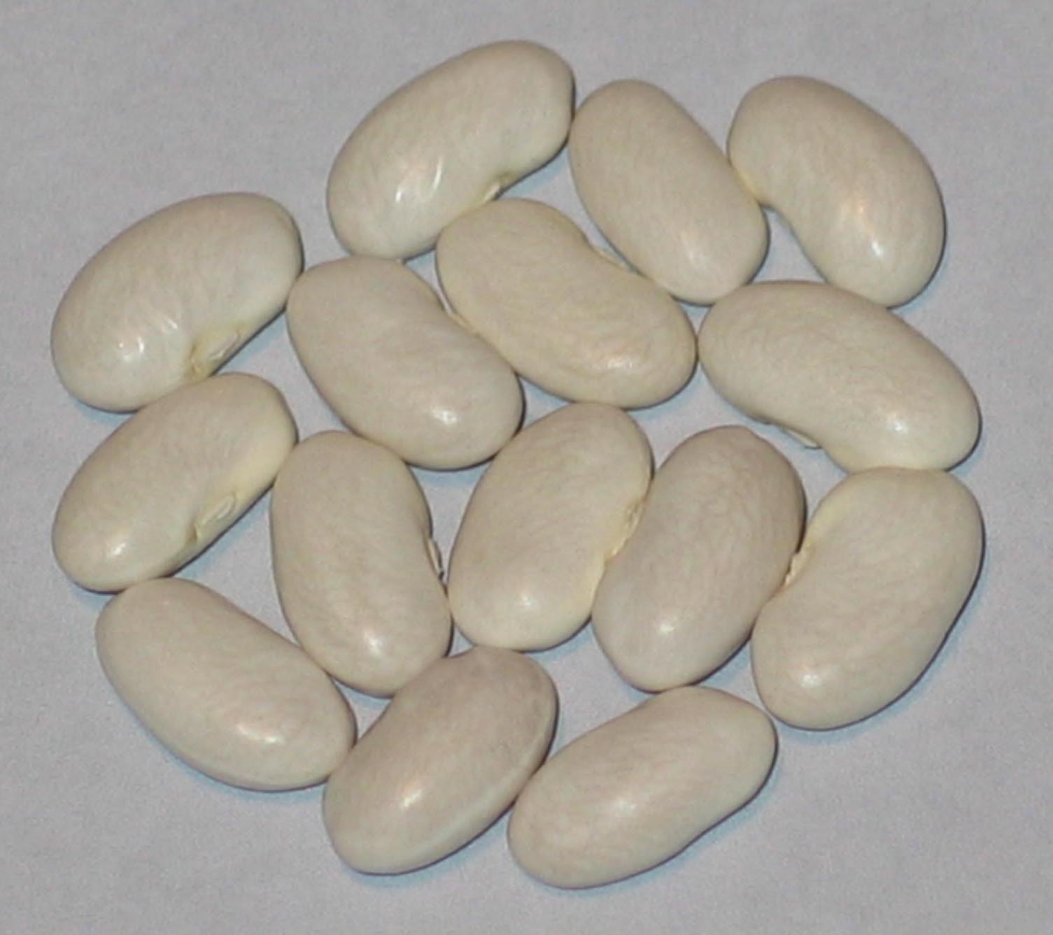 image of Barry Island beans