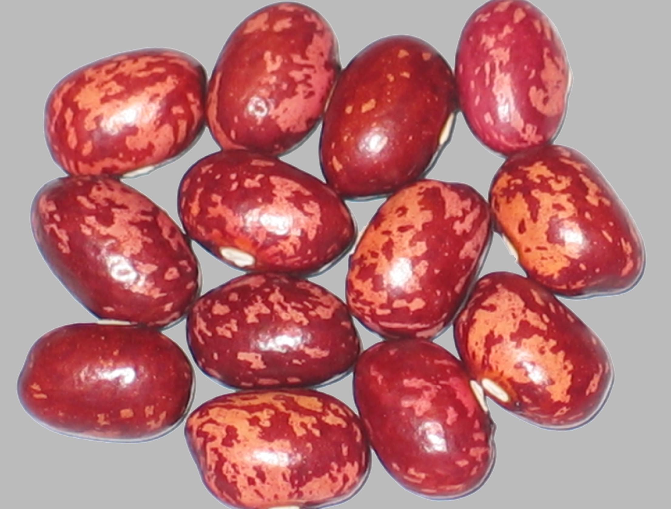 image of Bizana beans