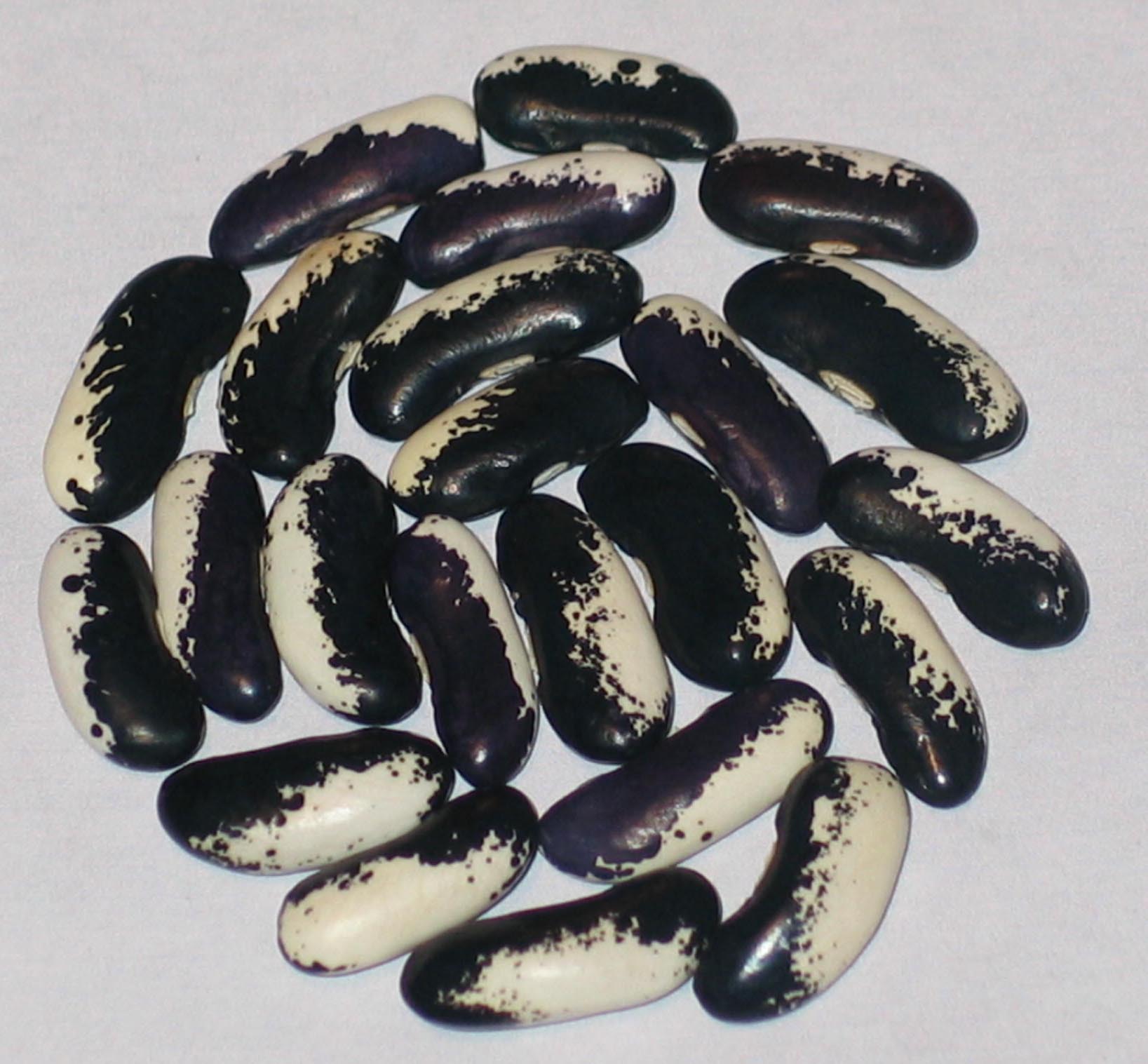 image of Black Gem beans