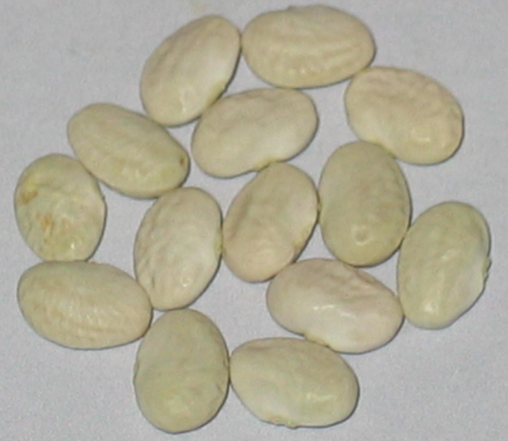 image of Boontjes beans