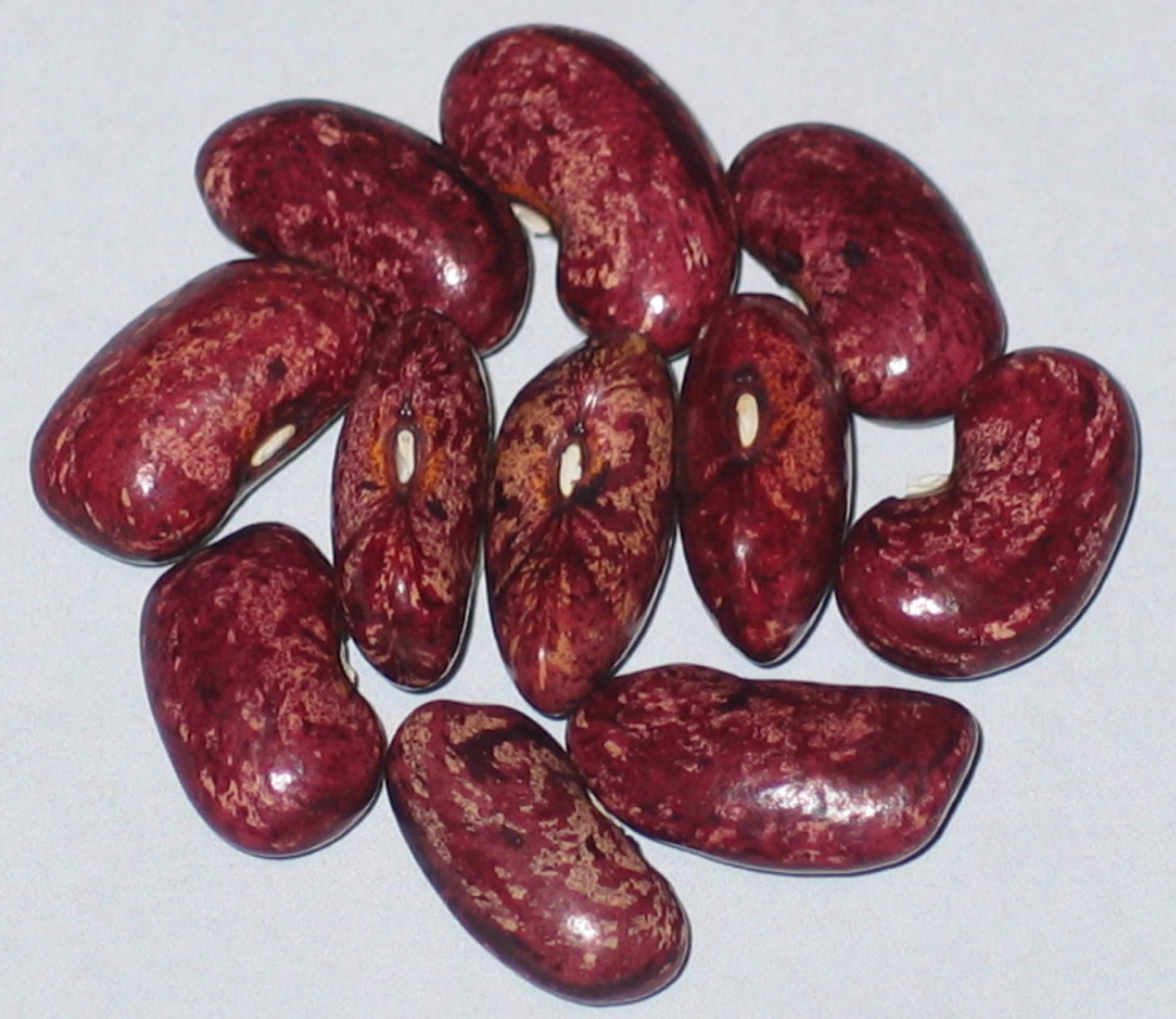 image of Botomi Georgia 2 beans