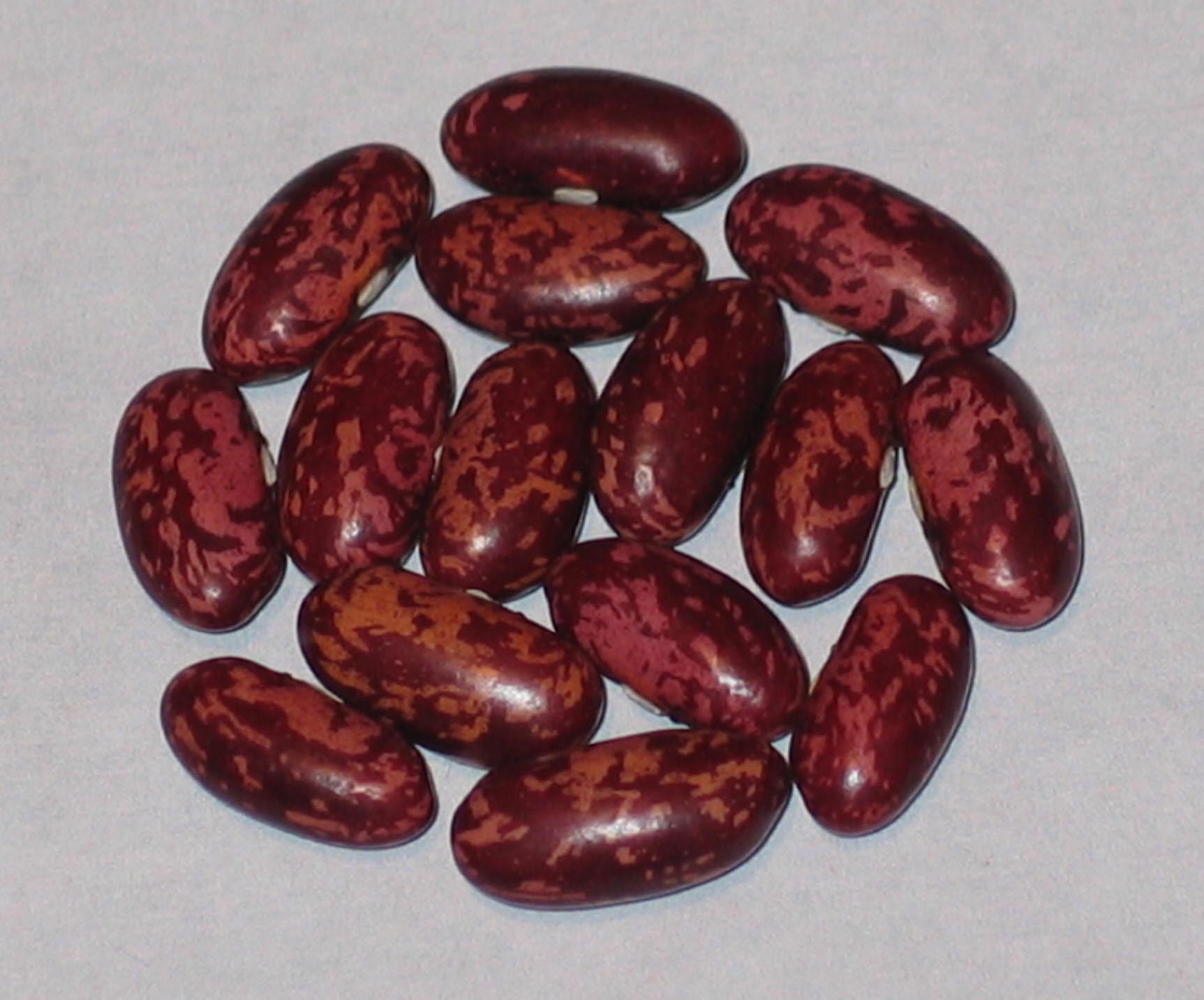 image of Globula beans