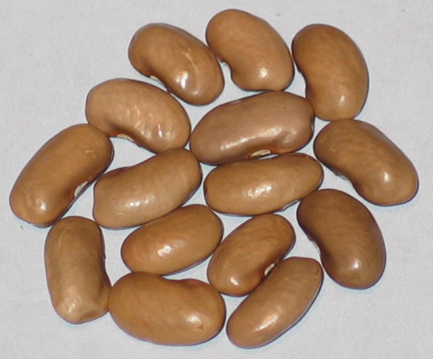 image of Gorema beans