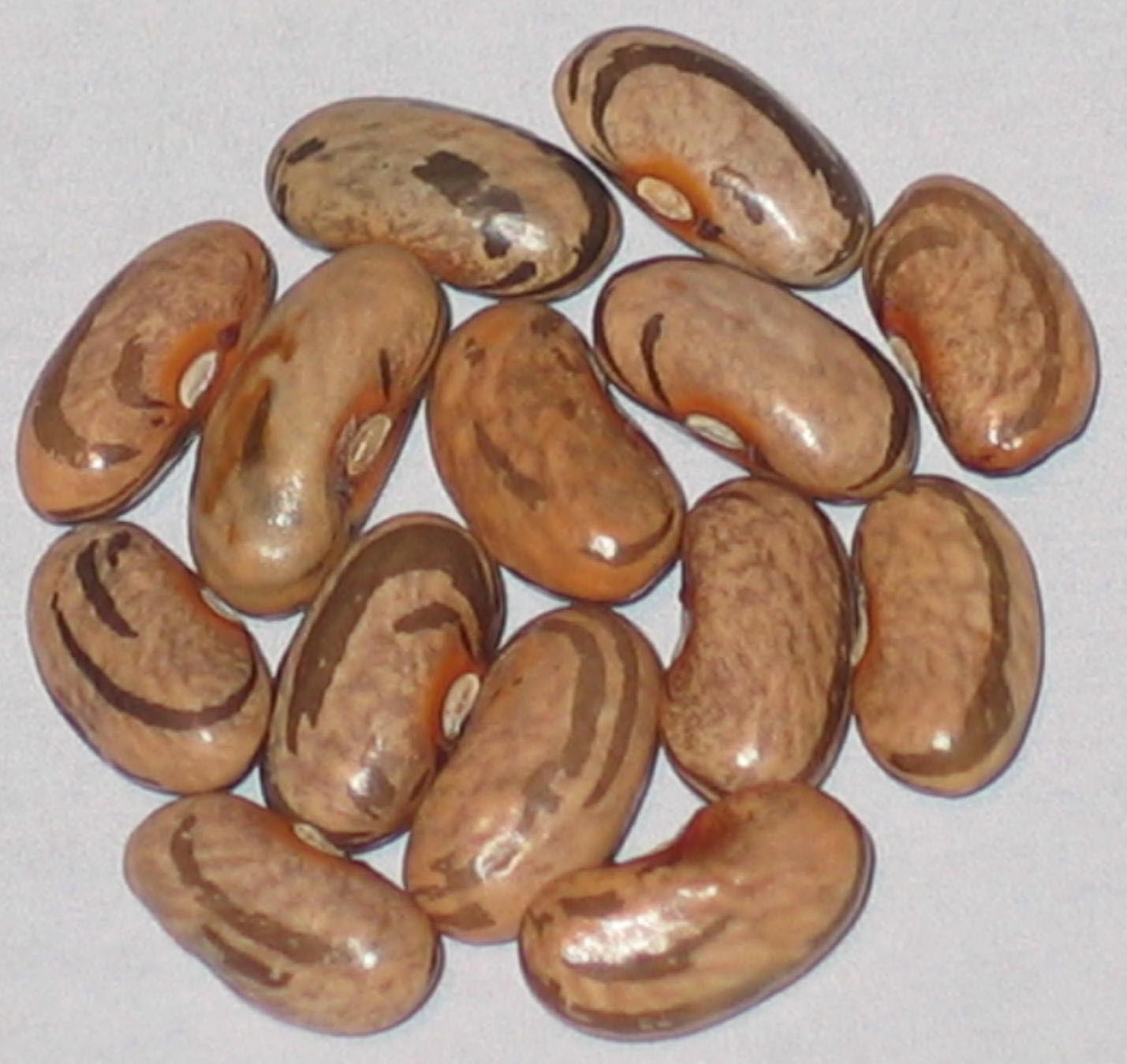 image of Grandma Barnett beans