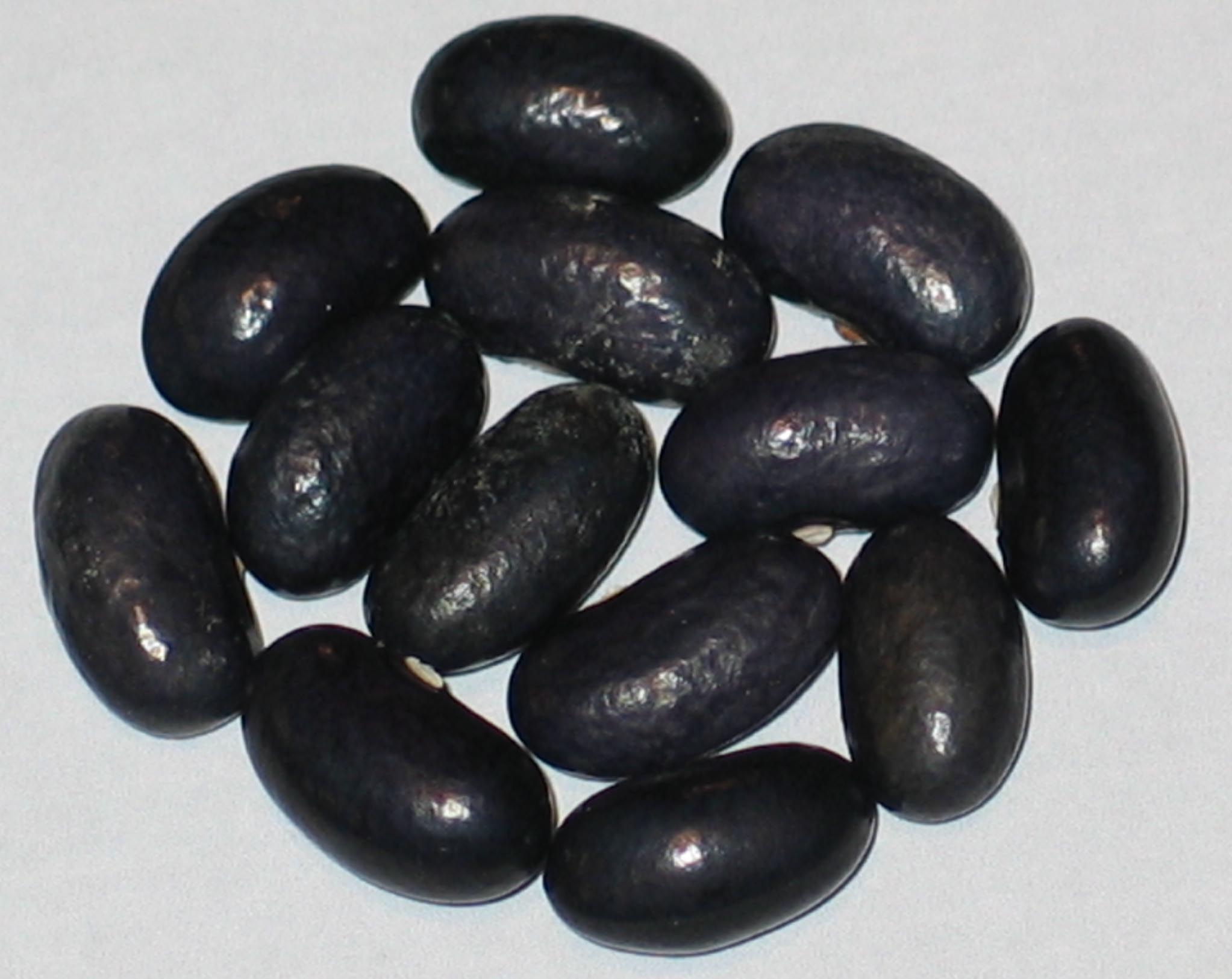 image of Grandma Ginas beans