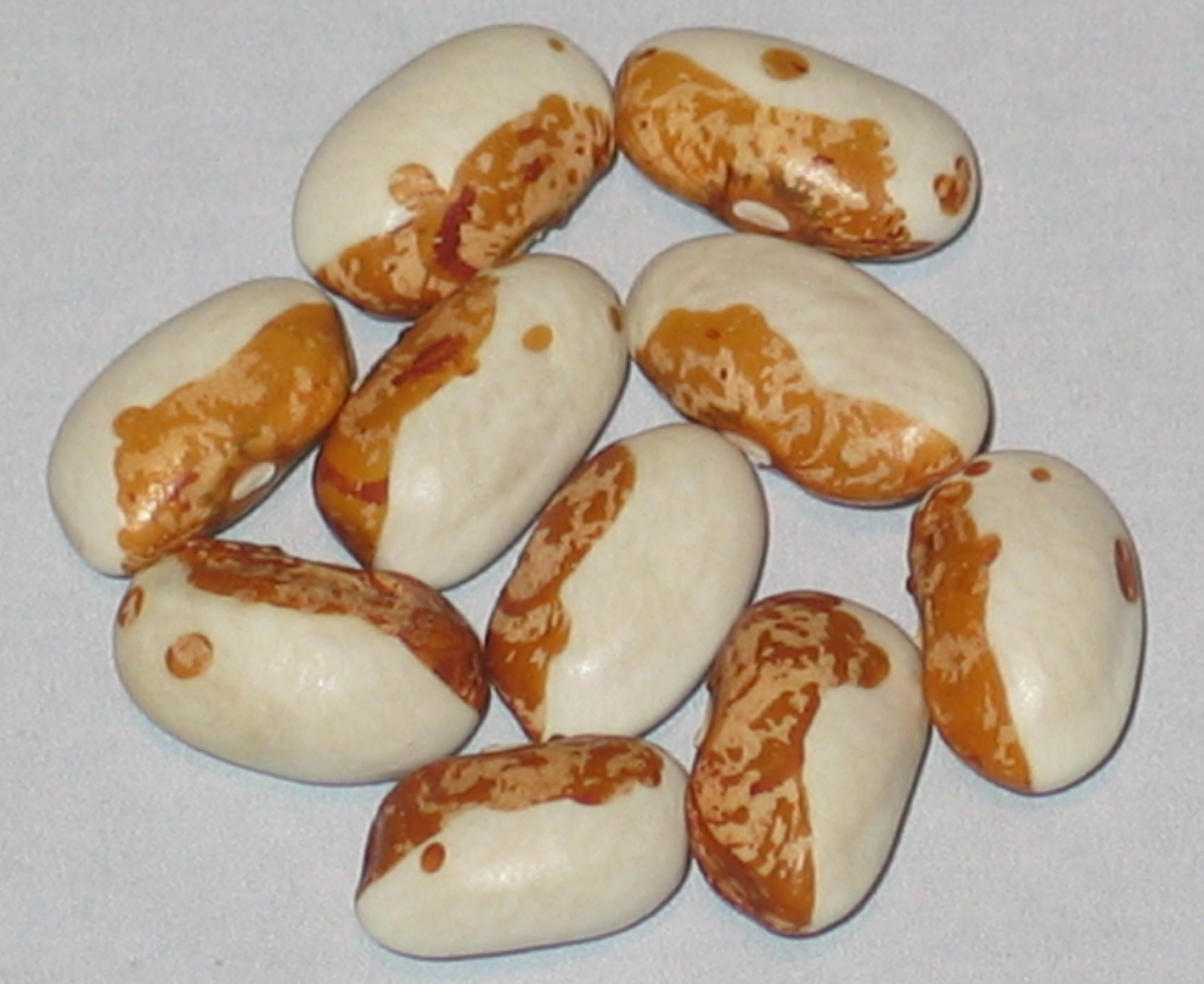 image of Grandma Ginas beans