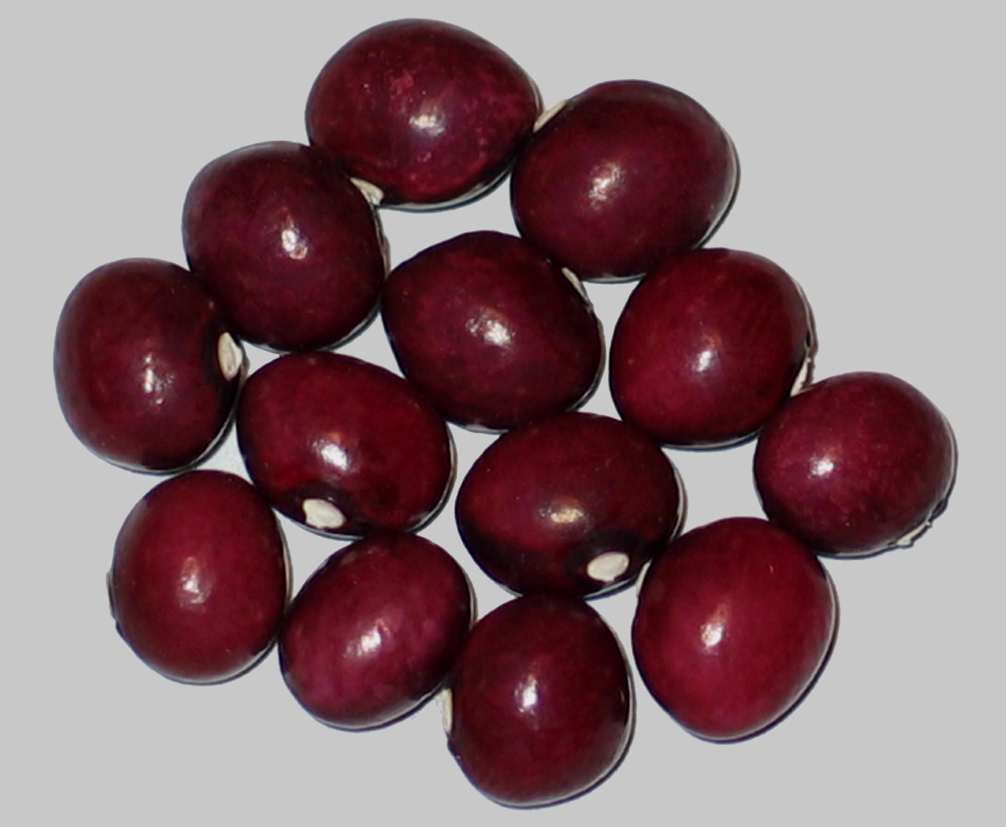 image of Grape beans