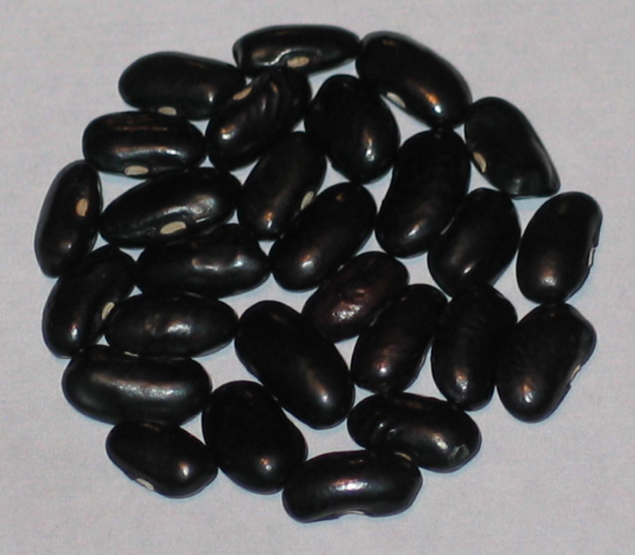 image of Gunagei beans
