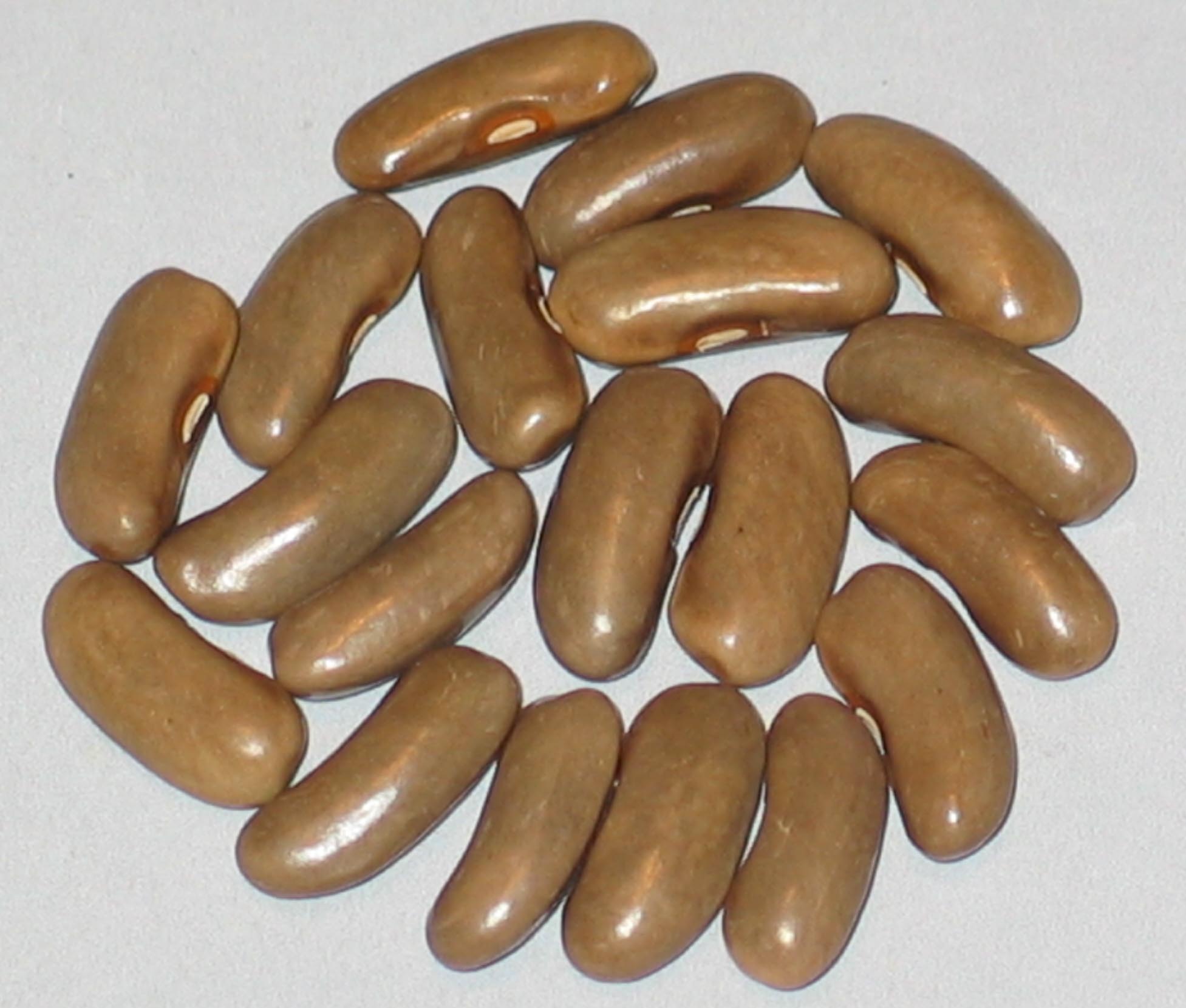 image of Havens beans